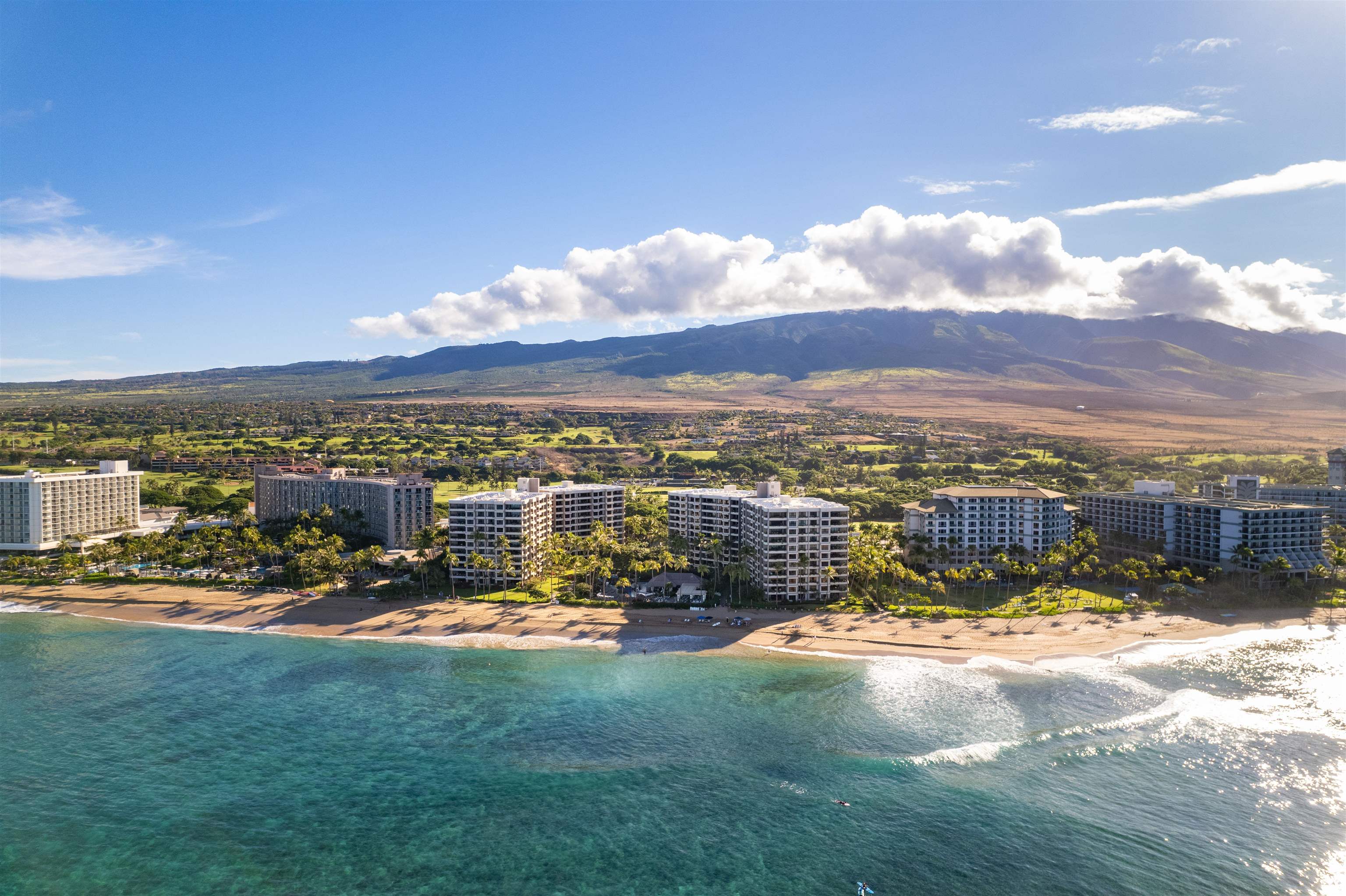 Kaanapali Alii condo # 4-706, Lahaina, Hawaii - photo 49 of 50
