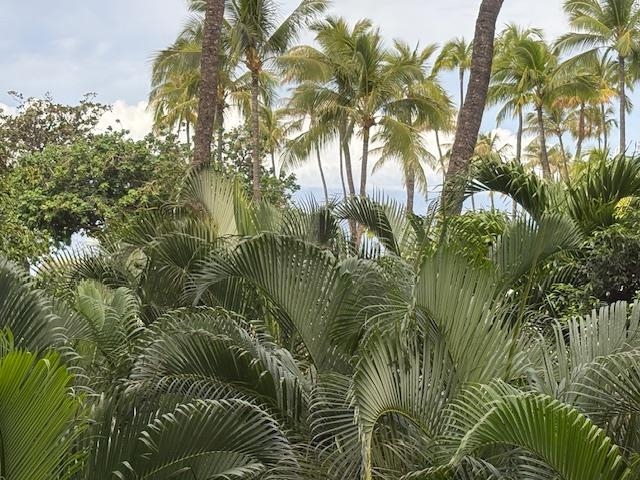 Kaanapali Alii condo # I301, Lahaina, Hawaii - photo 9 of 31