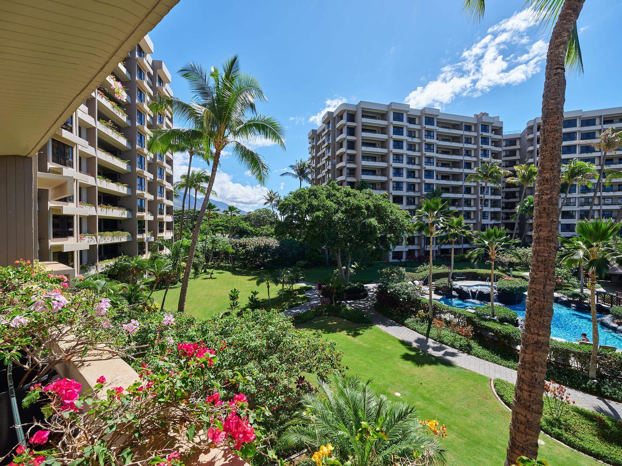 Kaanapali Alii condo # I-304, Lahaina, Hawaii - photo 25 of 25