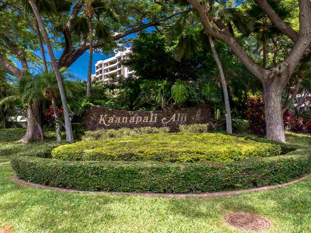 Kaanapali Alii condo # I-602, Lahaina, Hawaii - photo 26 of 26