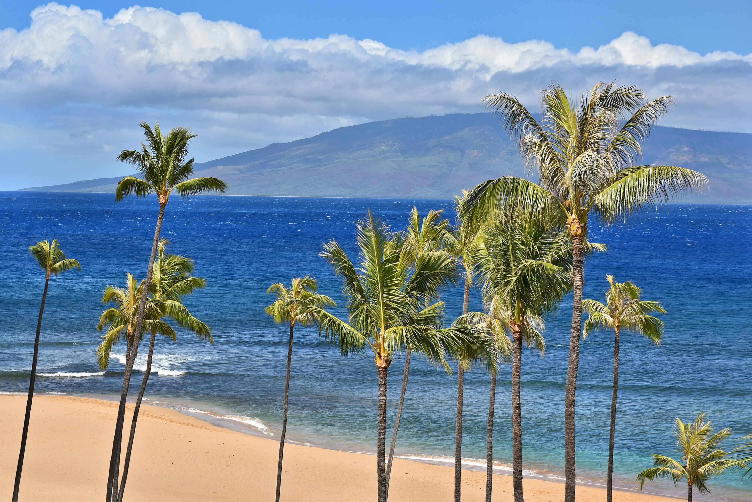 Kaanapali Alii condo # I702, Lahaina, Hawaii - photo 3 of 50