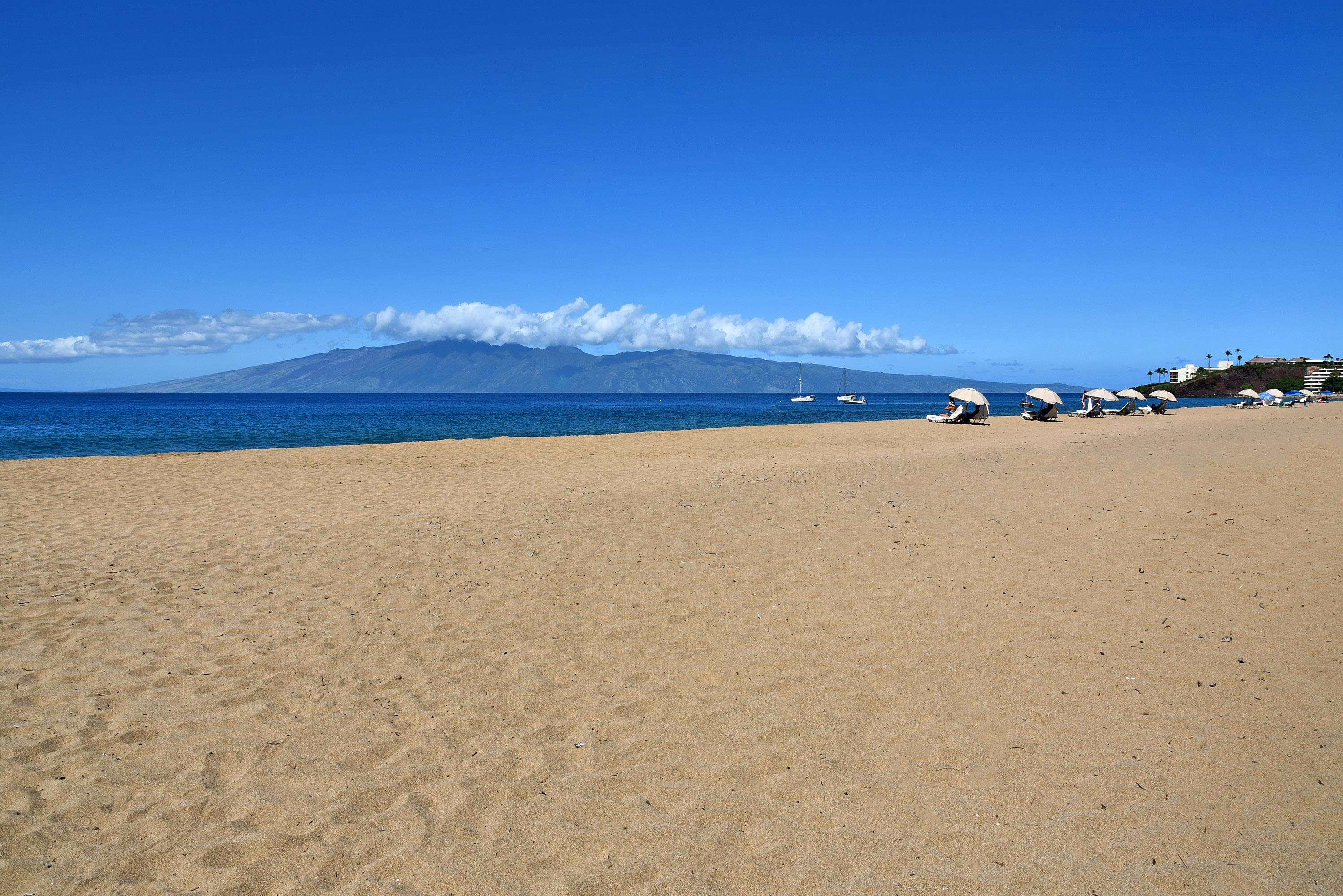 Kaanapali Alii condo # I702, Lahaina, Hawaii - photo 49 of 50