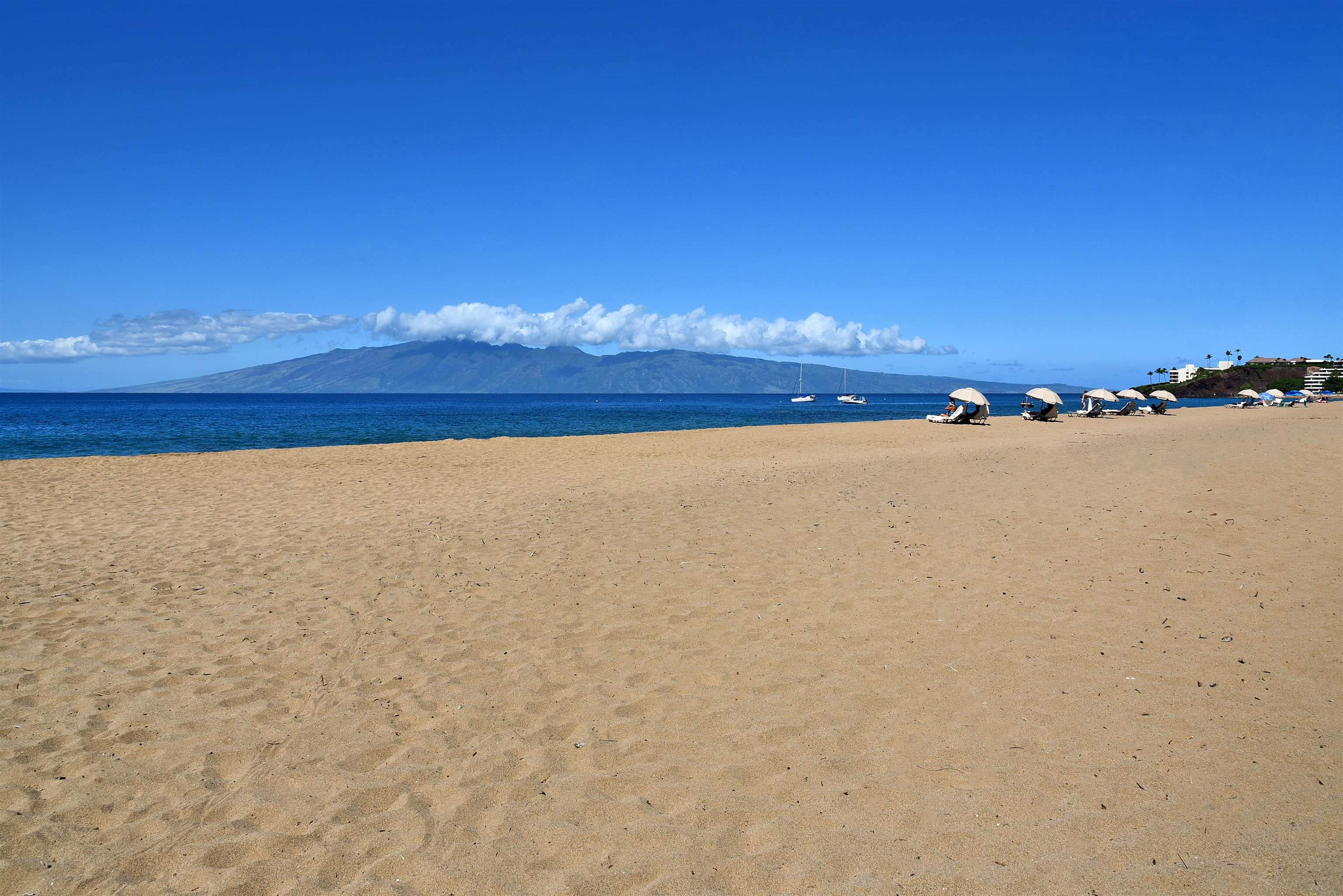 Kaanapali Alii condo # I-904, Lahaina, Hawaii - photo 34 of 49