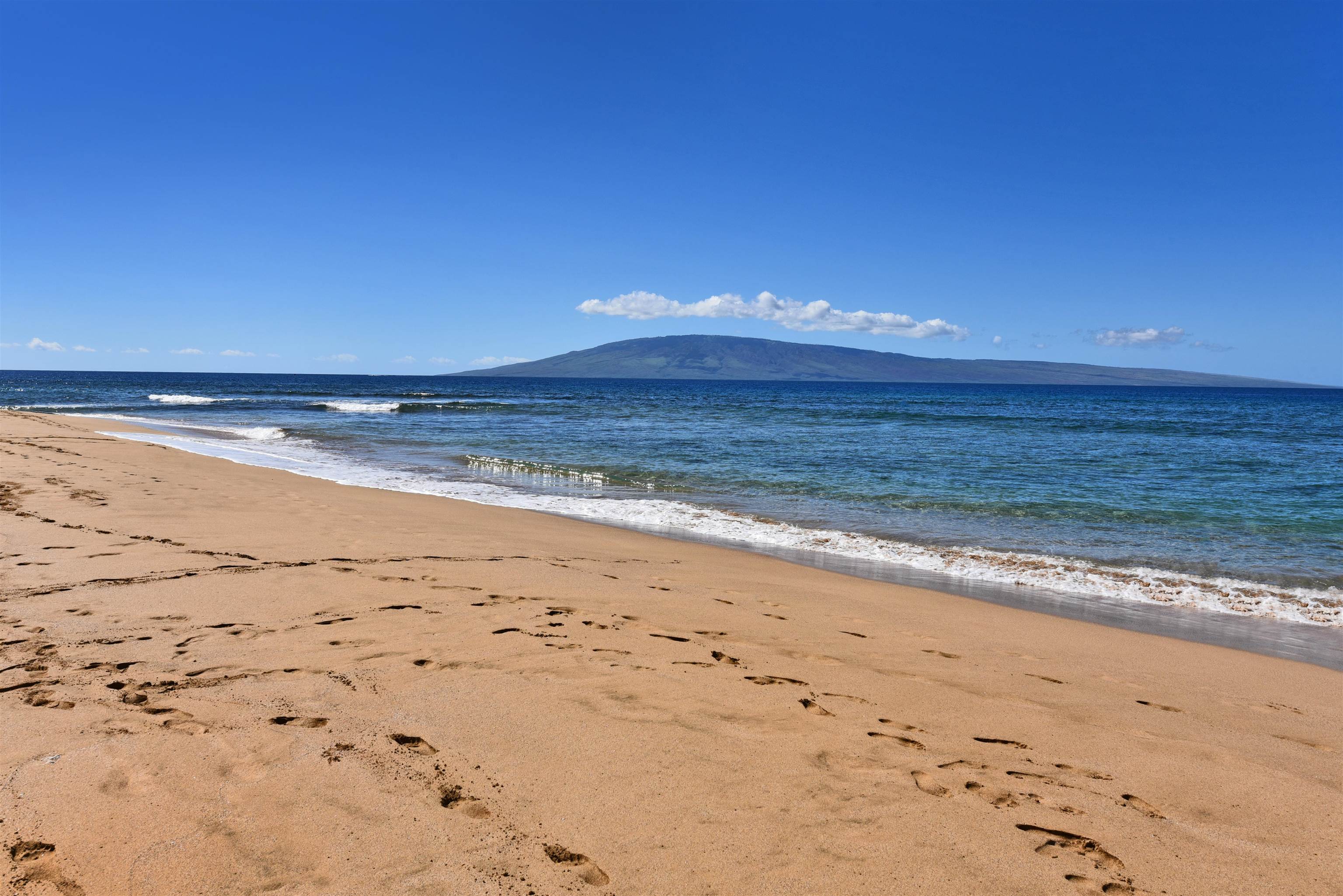 Kaanapali Alii condo # I-904, Lahaina, Hawaii - photo 43 of 49