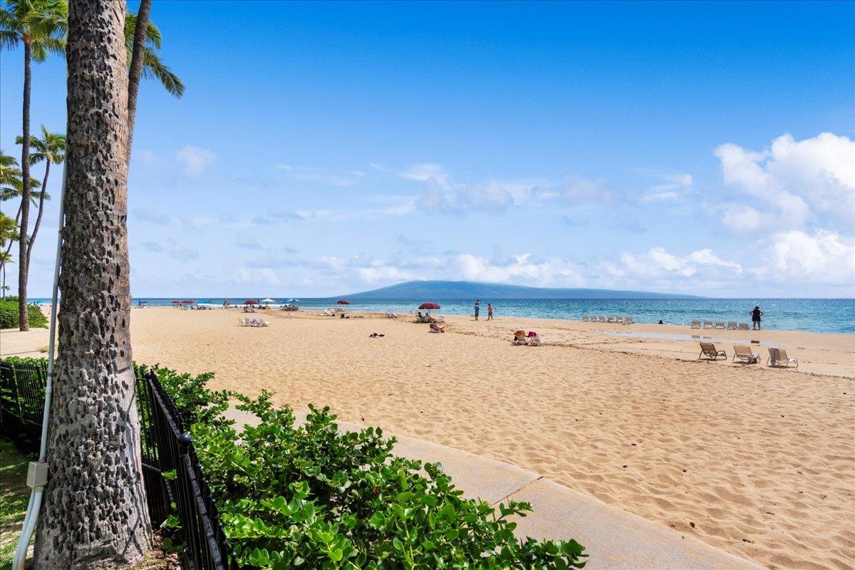 Kaanapali Alii condo # II1002, Lahaina, Hawaii - photo 42 of 47