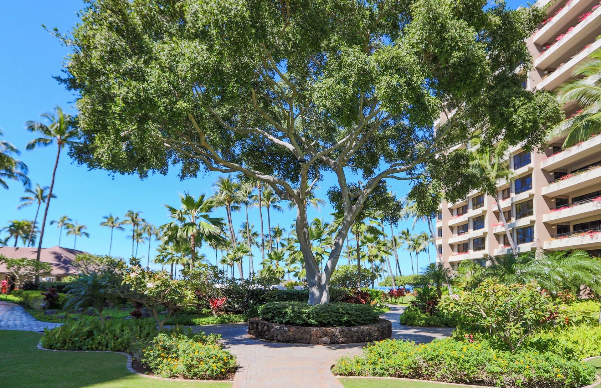 Kaanapali Alii condo # II-306, Lahaina, Hawaii - photo 26 of 35