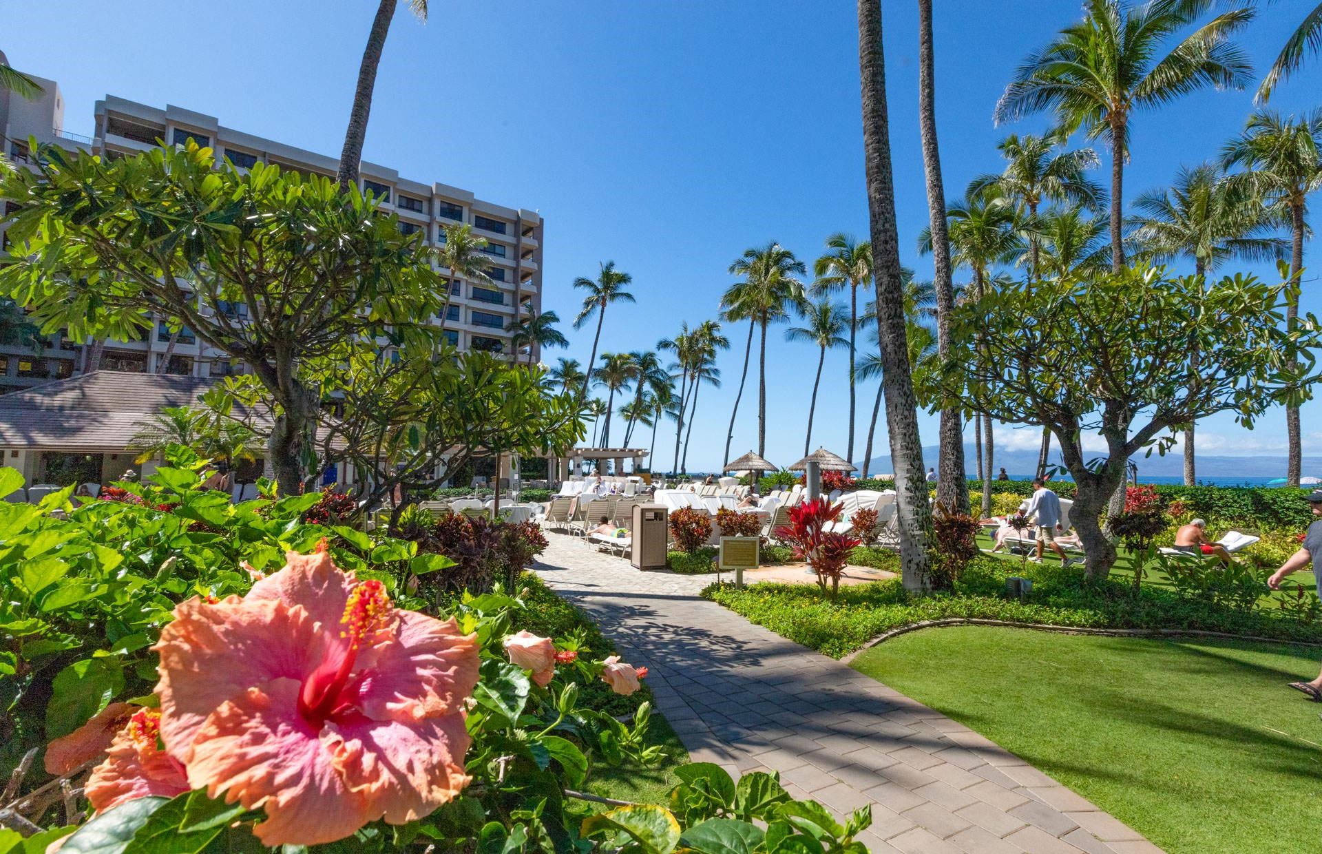 Kaanapali Alii condo # II-306, Lahaina, Hawaii - photo 29 of 35