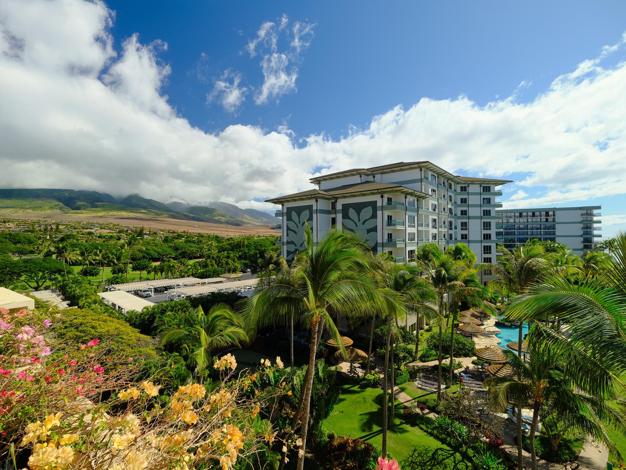 Kaanapali Alii condo # III-704, Lahaina, Hawaii - photo 17 of 45
