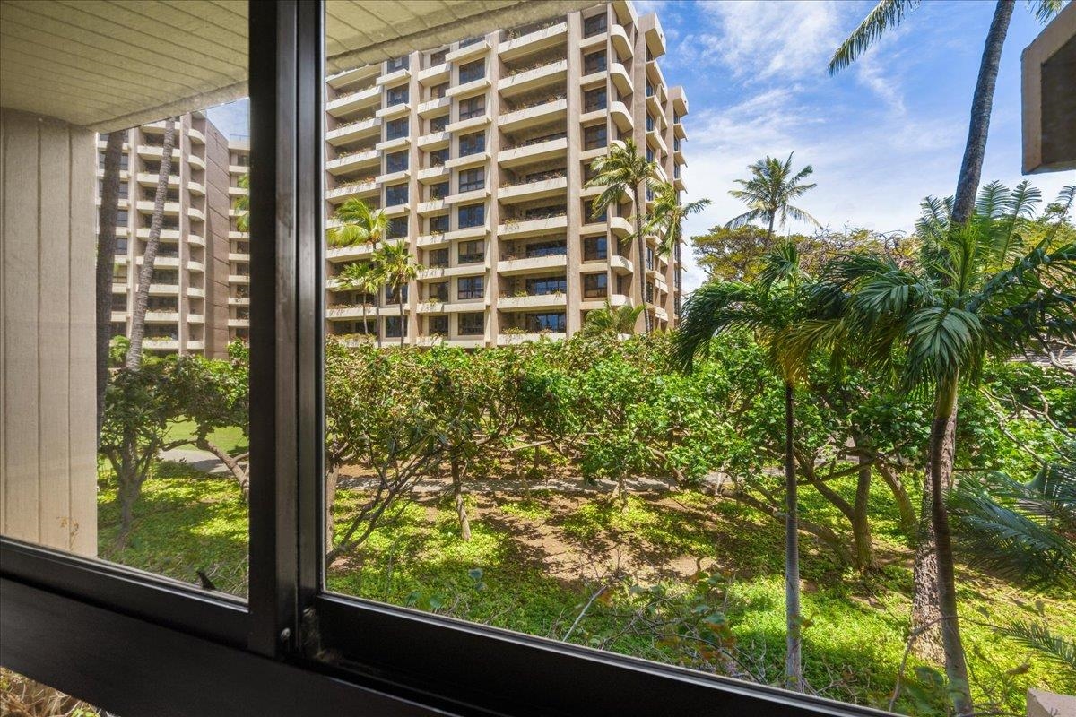 Kaanapali Alii condo # IV-205, Lahaina, Hawaii - photo 31 of 50