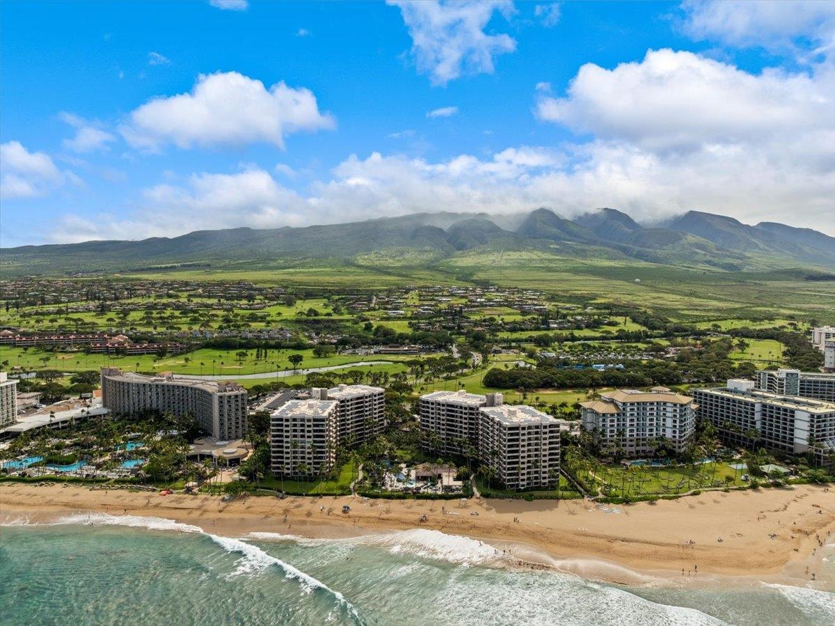 Kaanapali Alii condo # IV-205, Lahaina, Hawaii - photo 44 of 50