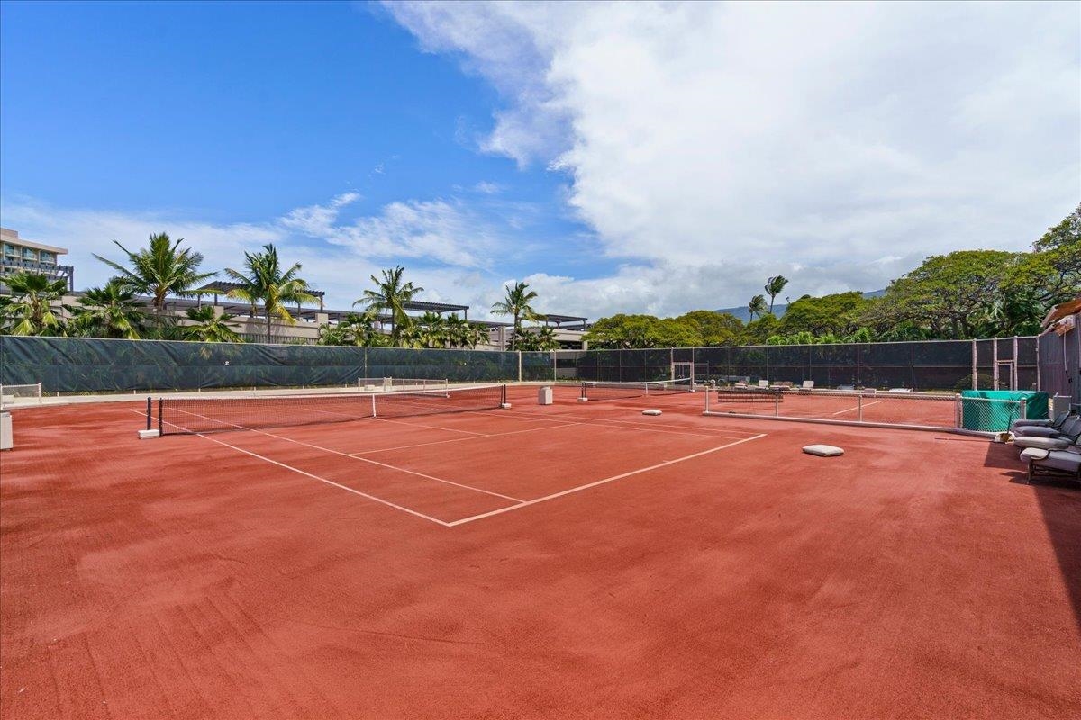 Kaanapali Alii condo # IV-205, Lahaina, Hawaii - photo 48 of 50