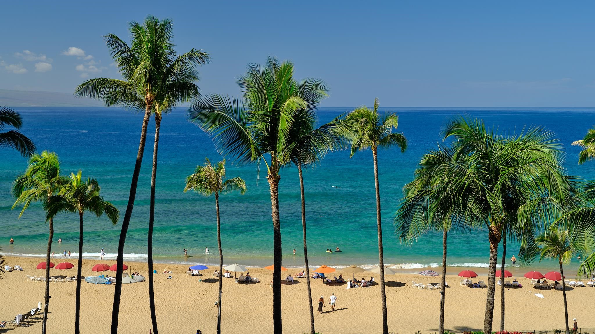 Kaanapali Alii IV704, 50 Nohea Kai Dr, Lahaina Kaanapali condo