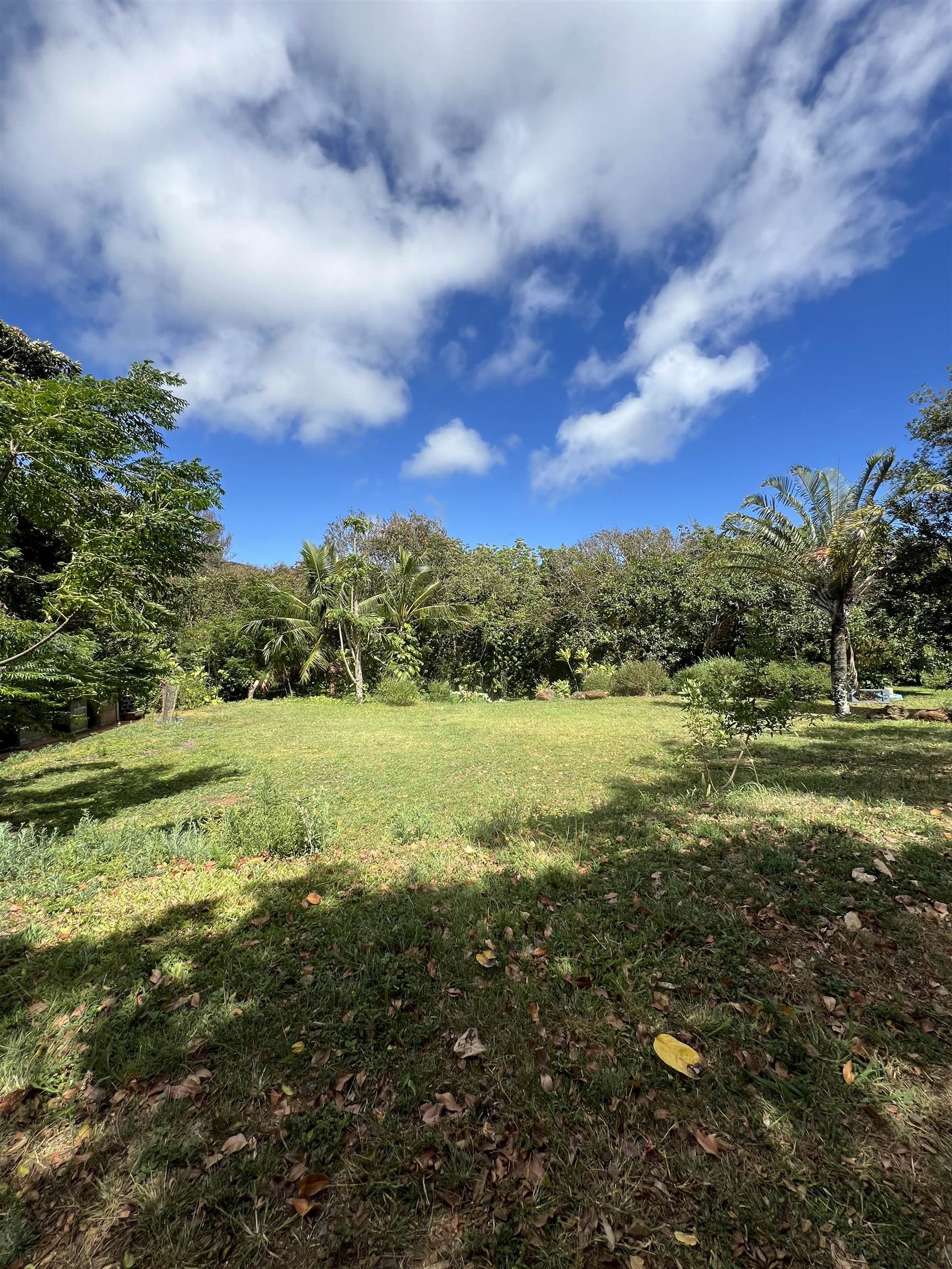 50 Pauwela Rd Unit A Haiku, Hi vacant land for sale - photo 2 of 10