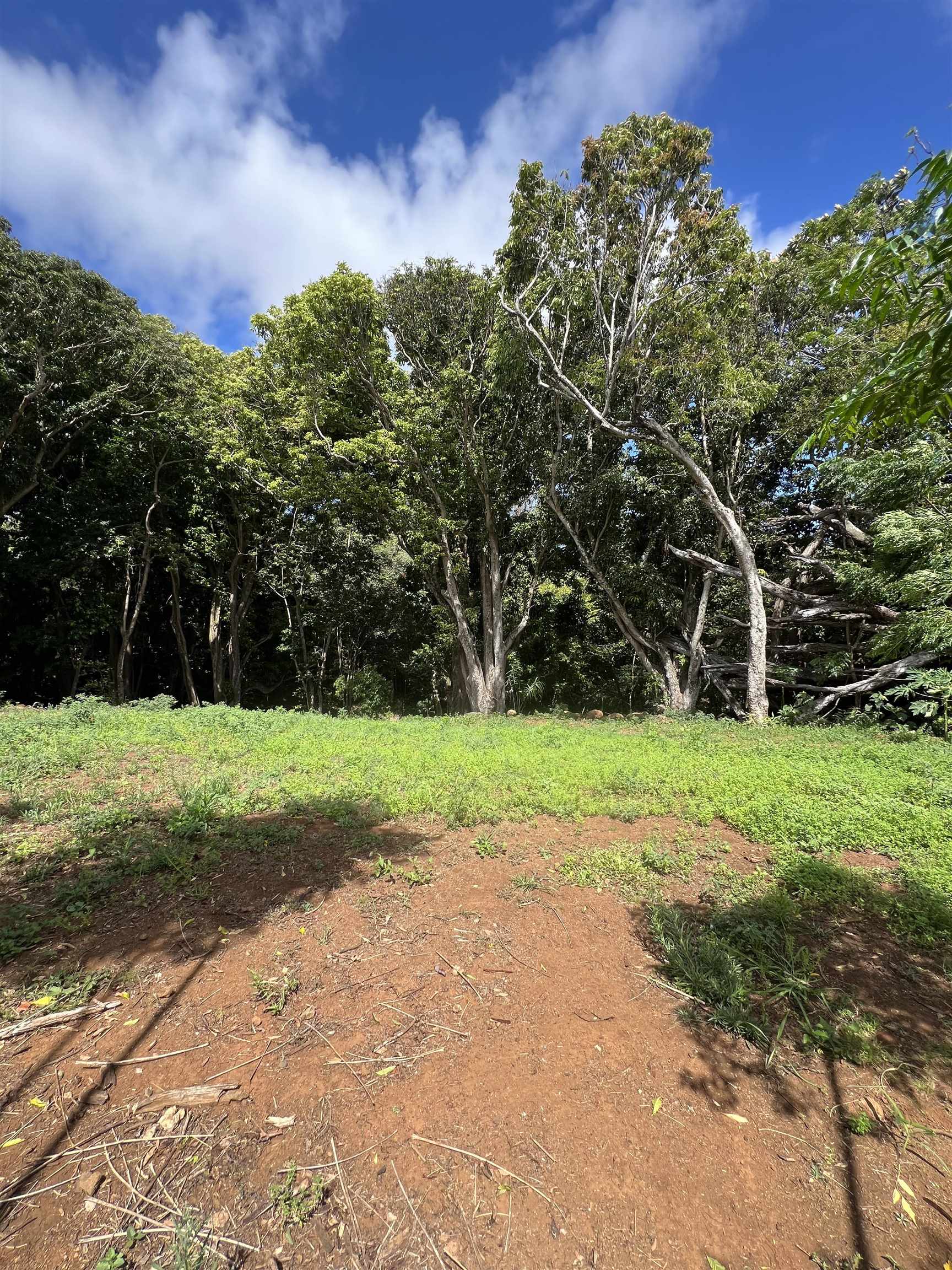 50 Pauwela Rd Unit B Haiku, Hi vacant land for sale - photo 2 of 9