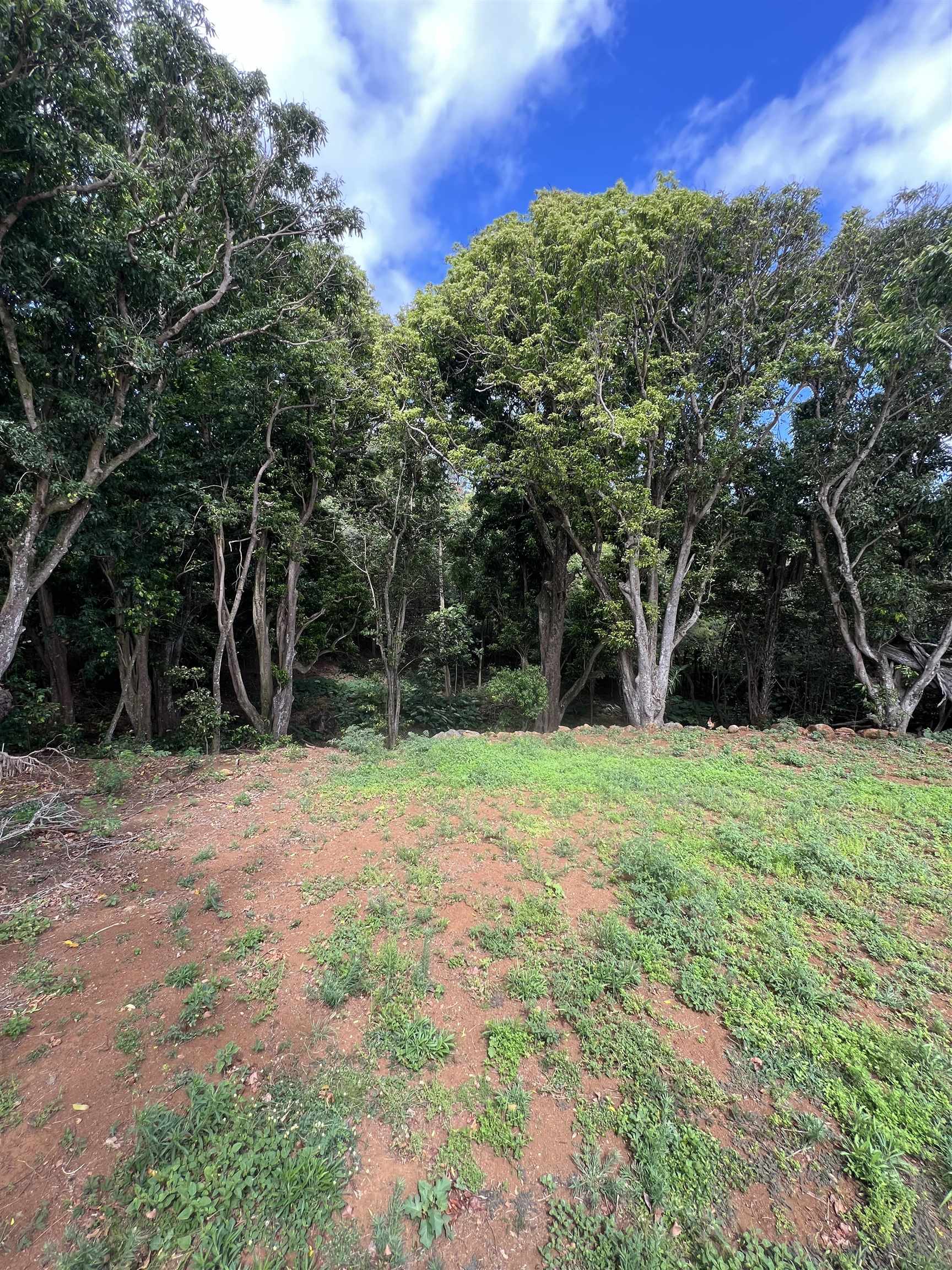 50 Pauwela Rd Unit B Haiku, Hi vacant land for sale - photo 6 of 9