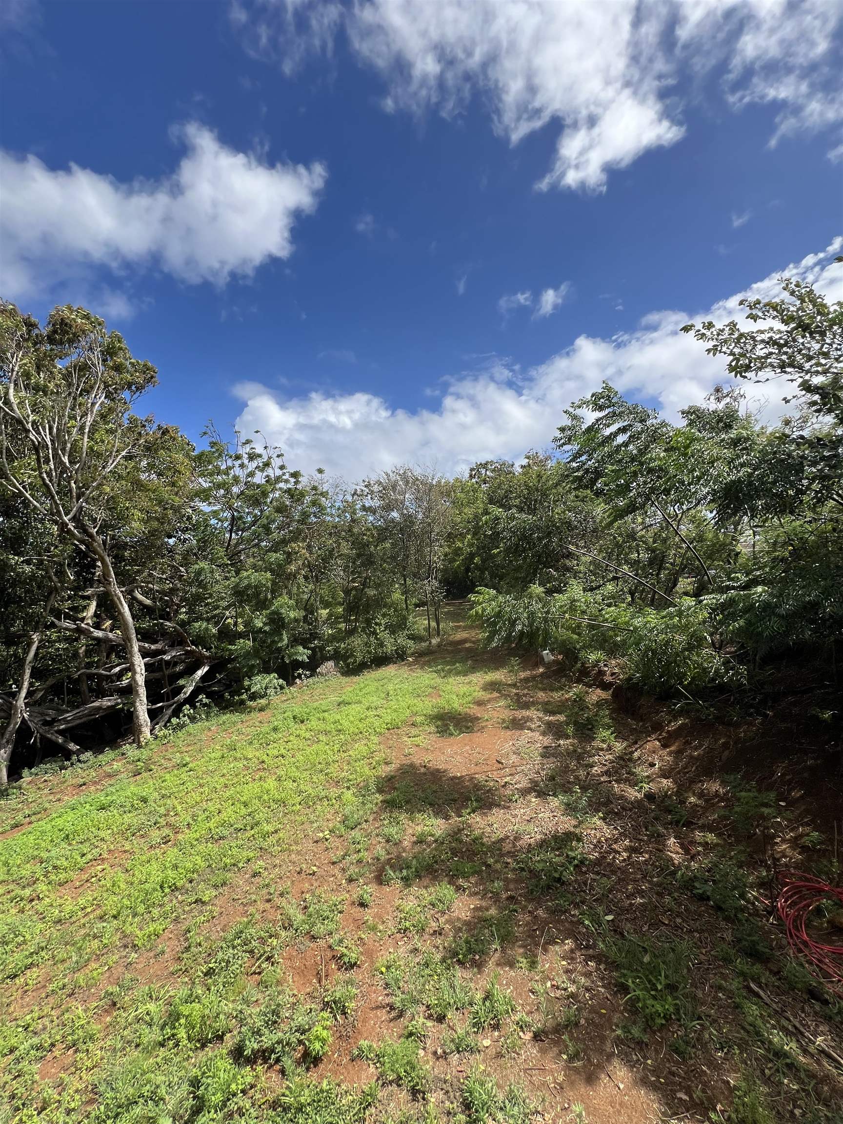 50 Pauwela Rd Unit B Haiku, Hi vacant land for sale - photo 7 of 9