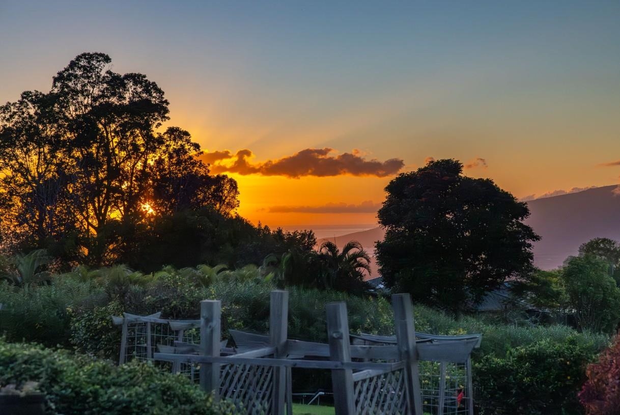 50  Poha Pl , Makawao/Olinda/Haliimaile home - photo 2 of 50