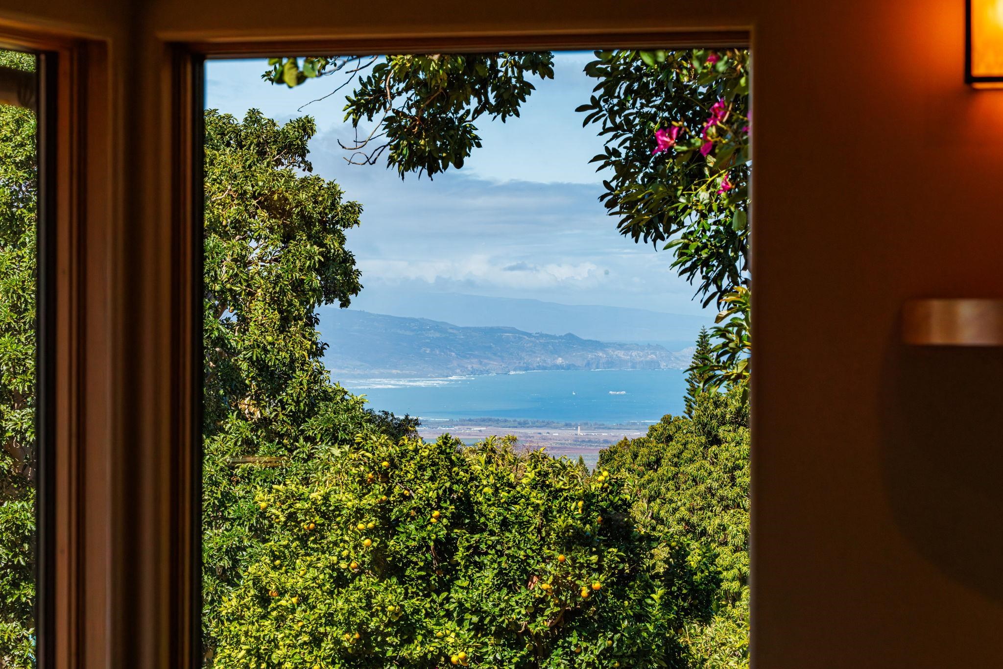 50  Poha Pl , Makawao/Olinda/Haliimaile home - photo 16 of 50