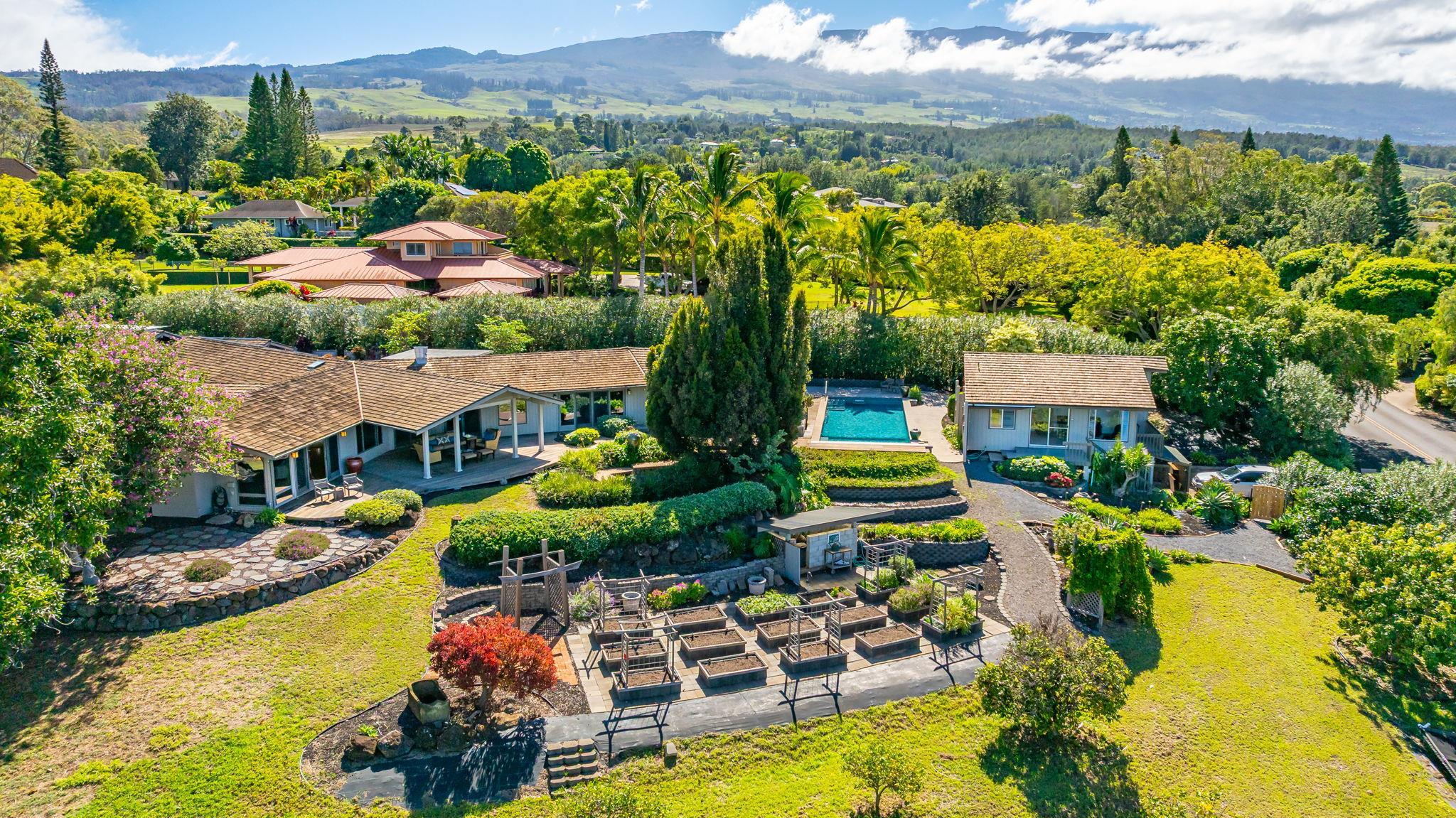 50  Poha Pl , Makawao/Olinda/Haliimaile home - photo 7 of 50