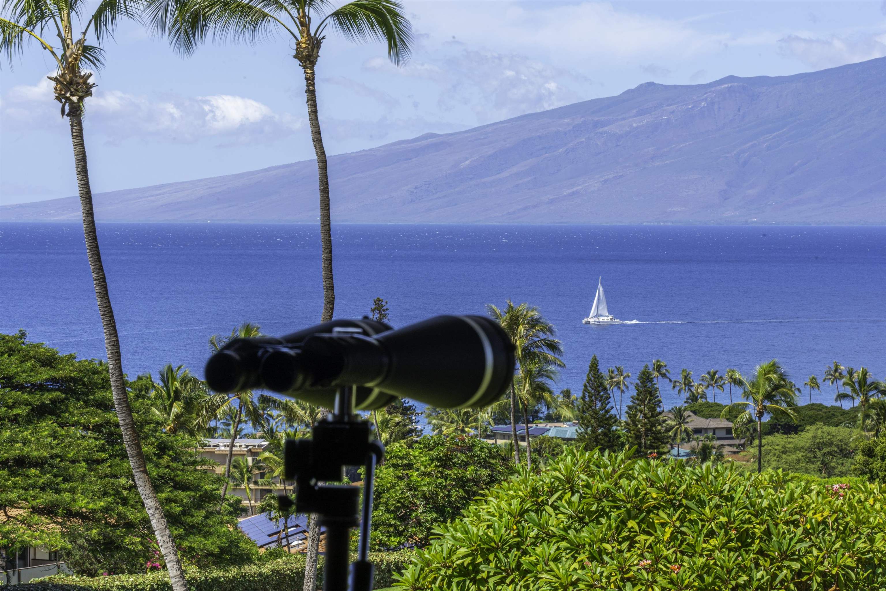 Masters condo # 1004, Lahaina, Hawaii - photo 2 of 45