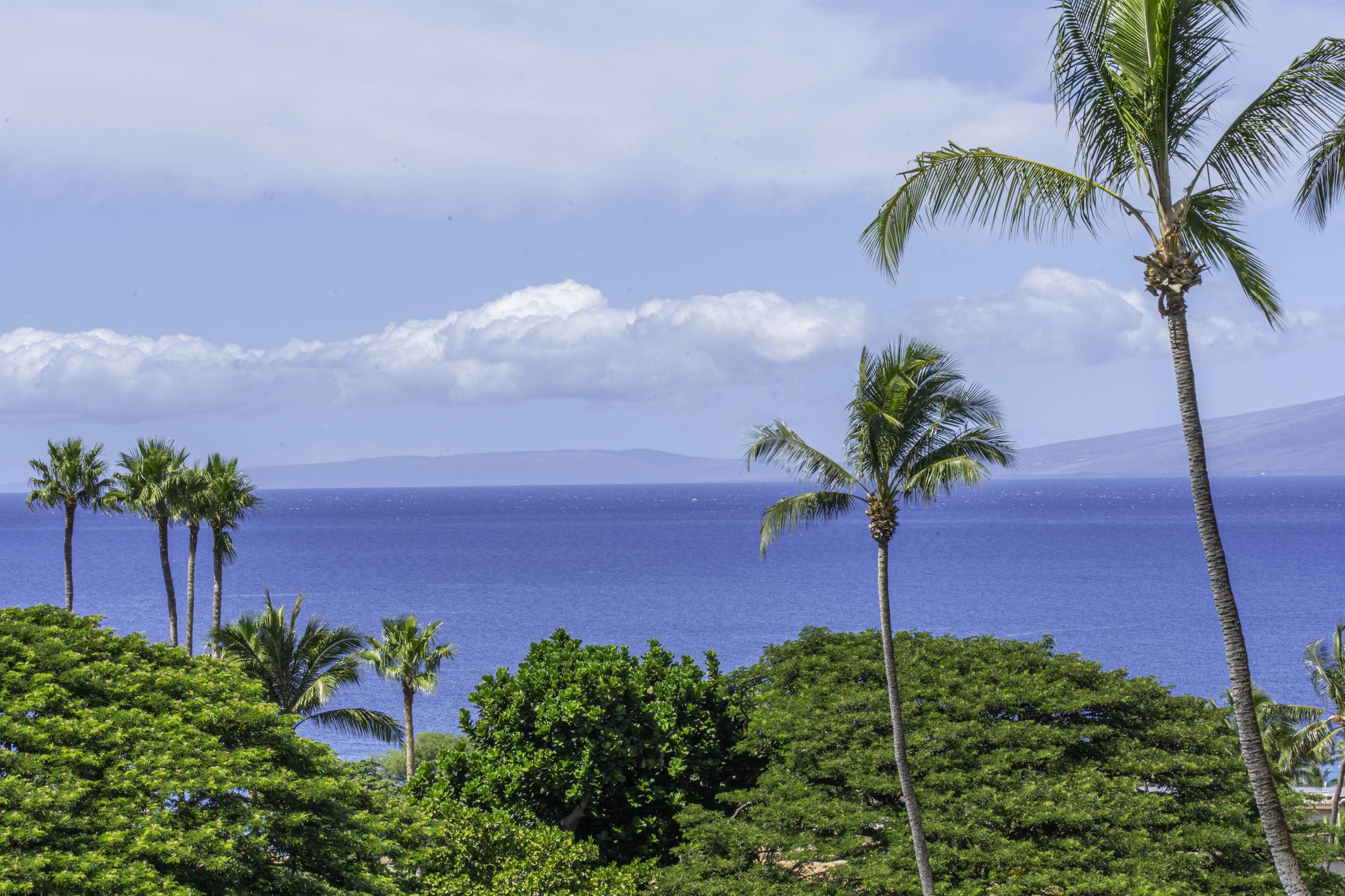 Masters condo # 1004, Lahaina, Hawaii - photo 45 of 45