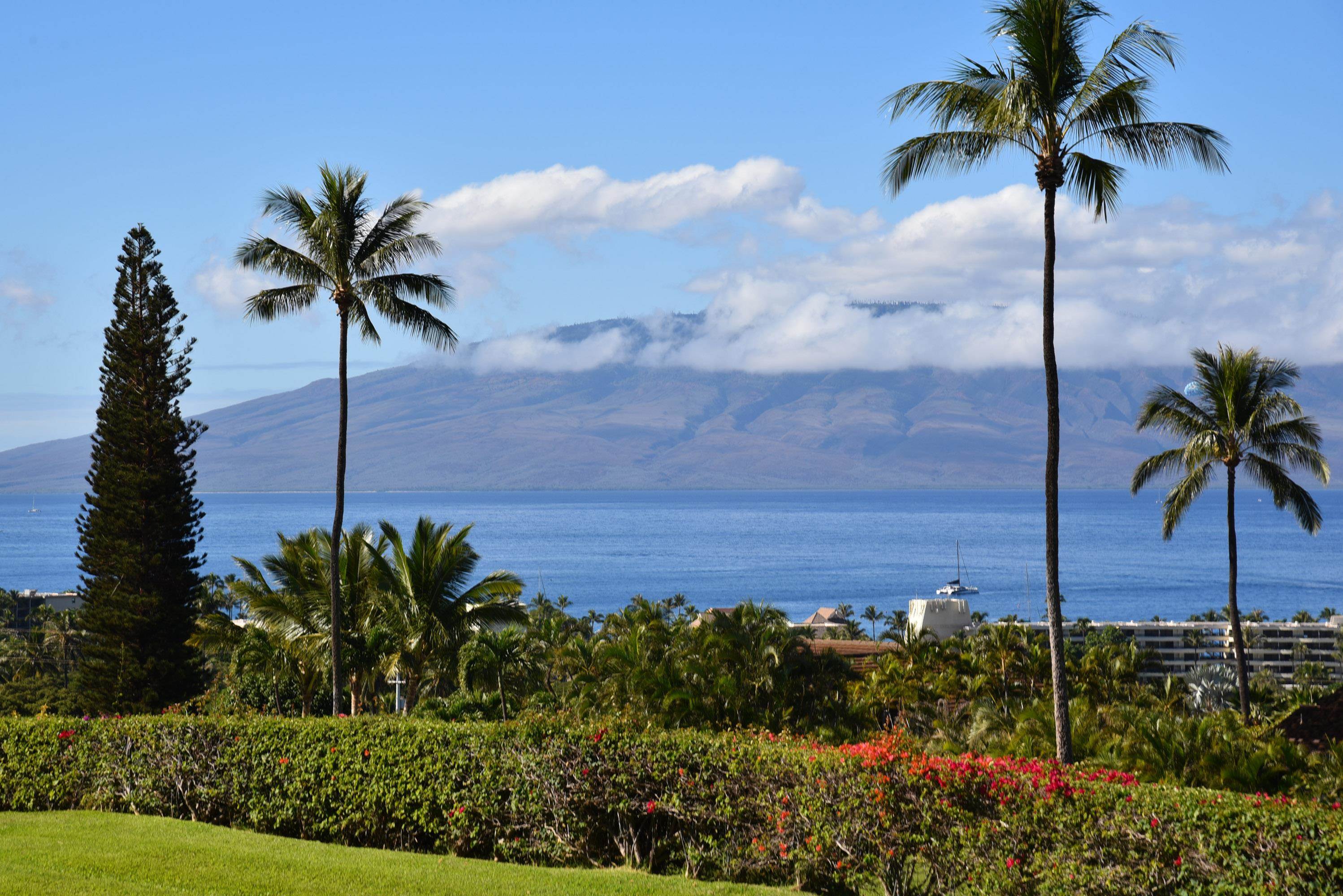 Masters condo # 1005, Lahaina, Hawaii - photo 45 of 49