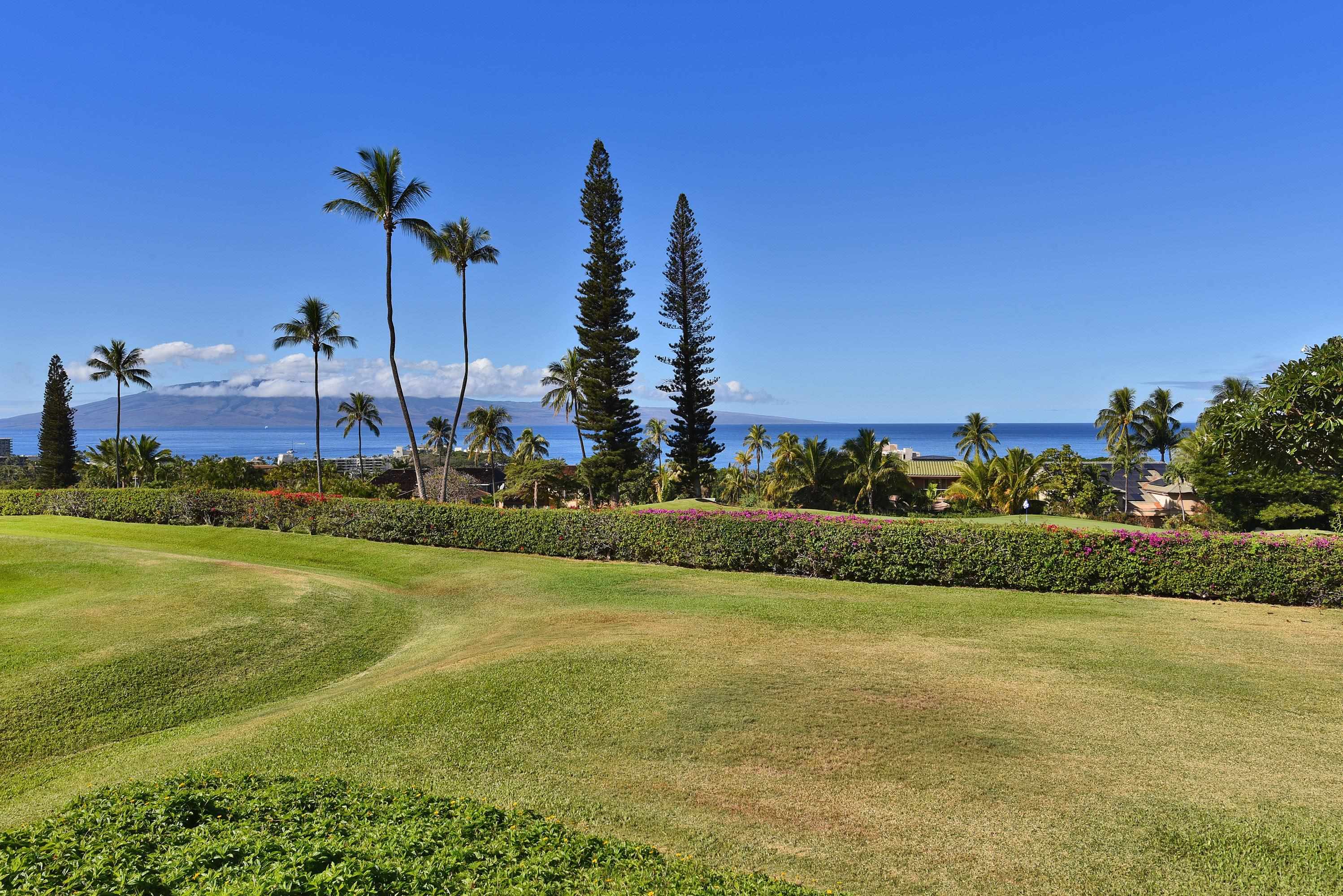 Masters condo # 1005, Lahaina, Hawaii - photo 46 of 49
