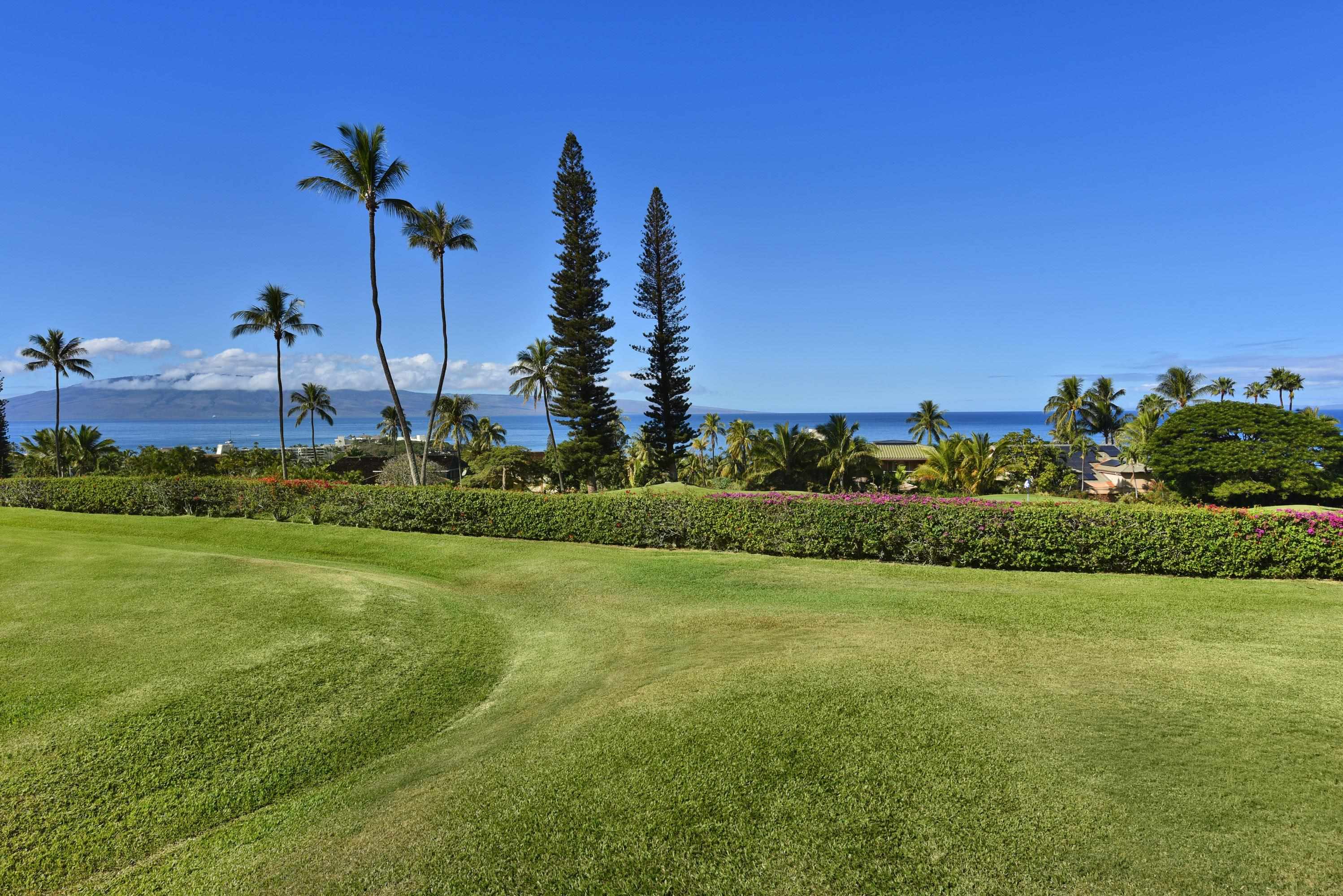 Masters condo # 1005, Lahaina, Hawaii - photo 6 of 49