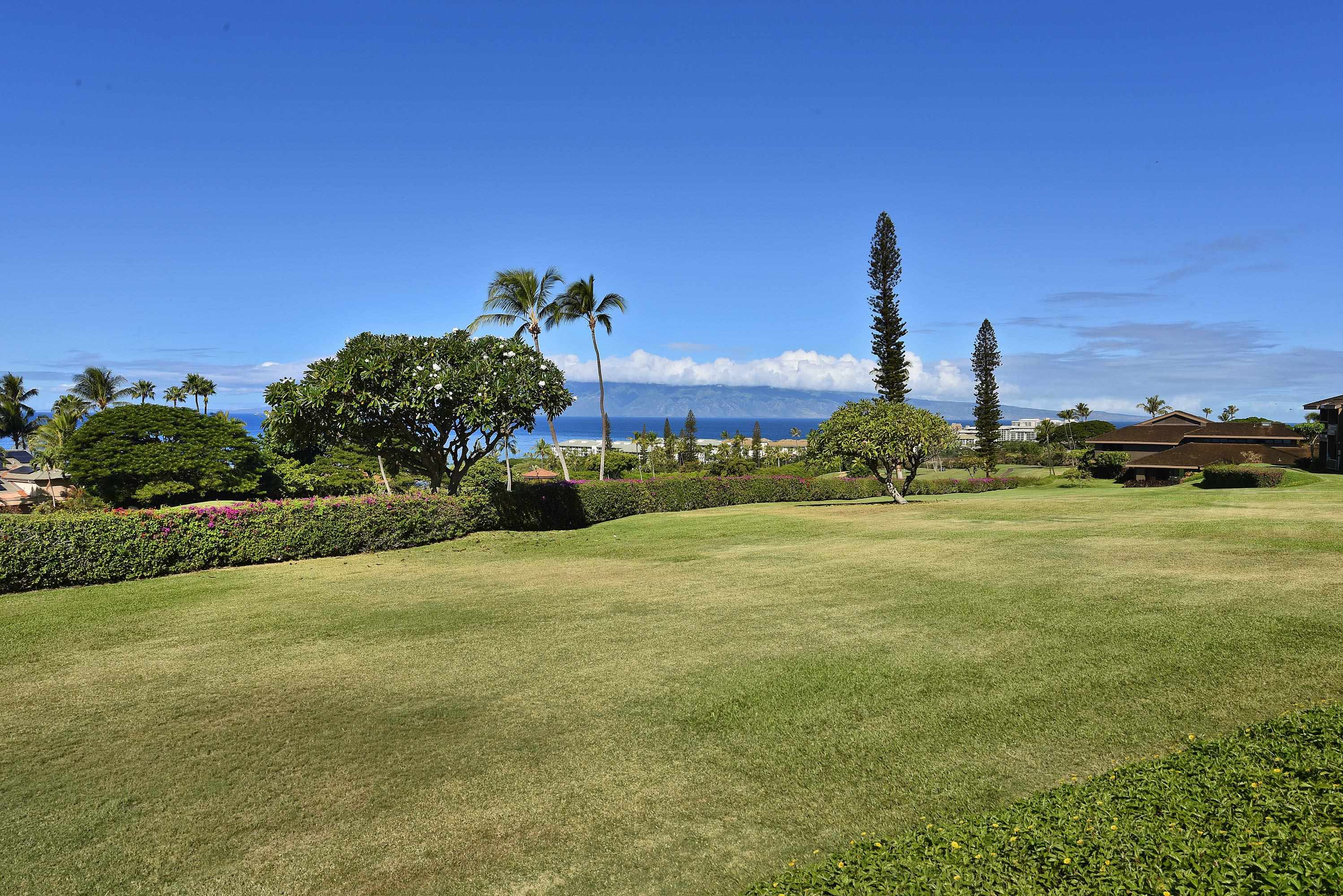 Masters condo # 1005, Lahaina, Hawaii - photo 6 of 49