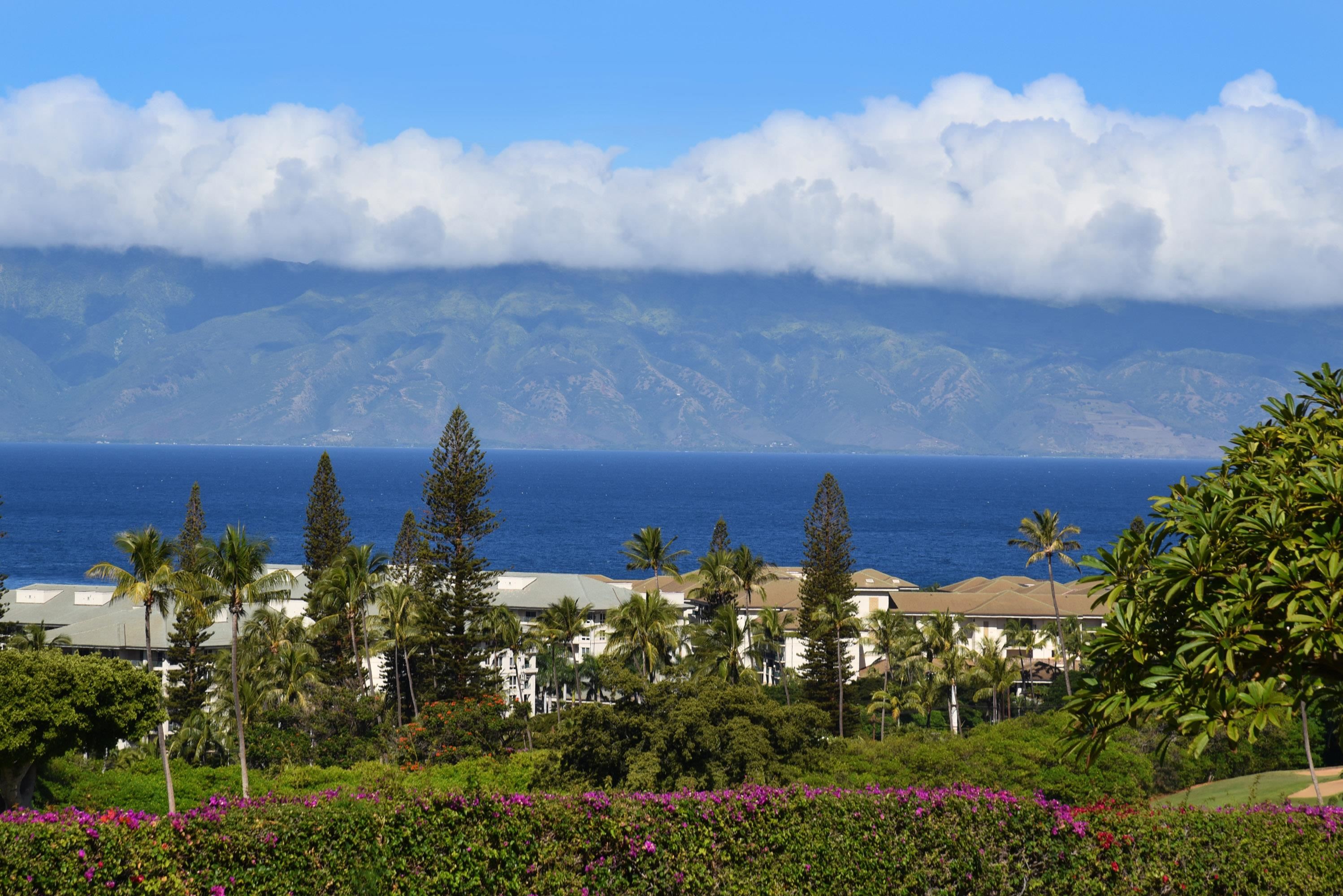 Masters condo # 1005, Lahaina, Hawaii - photo 8 of 49