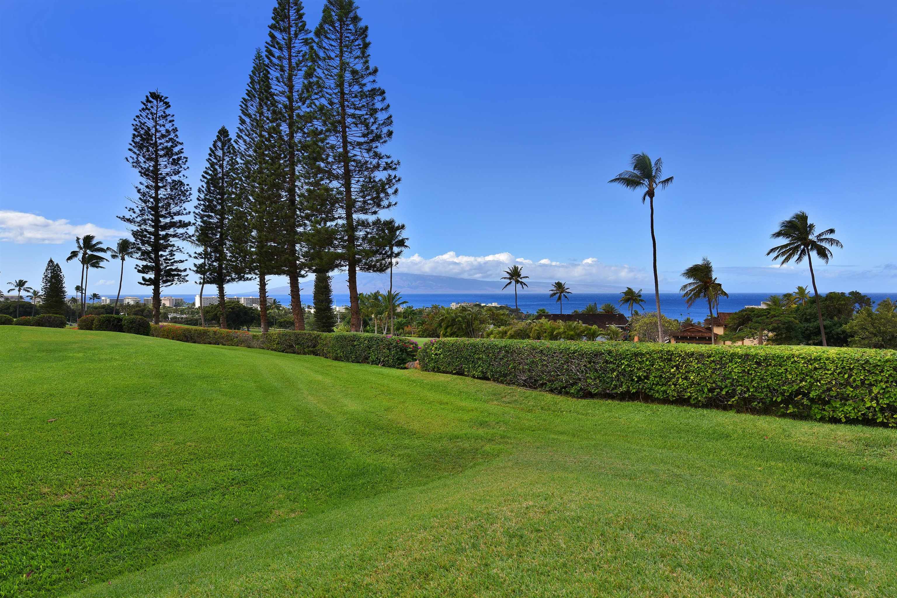 Masters condo # 1105, Lahaina, Hawaii - photo 32 of 37