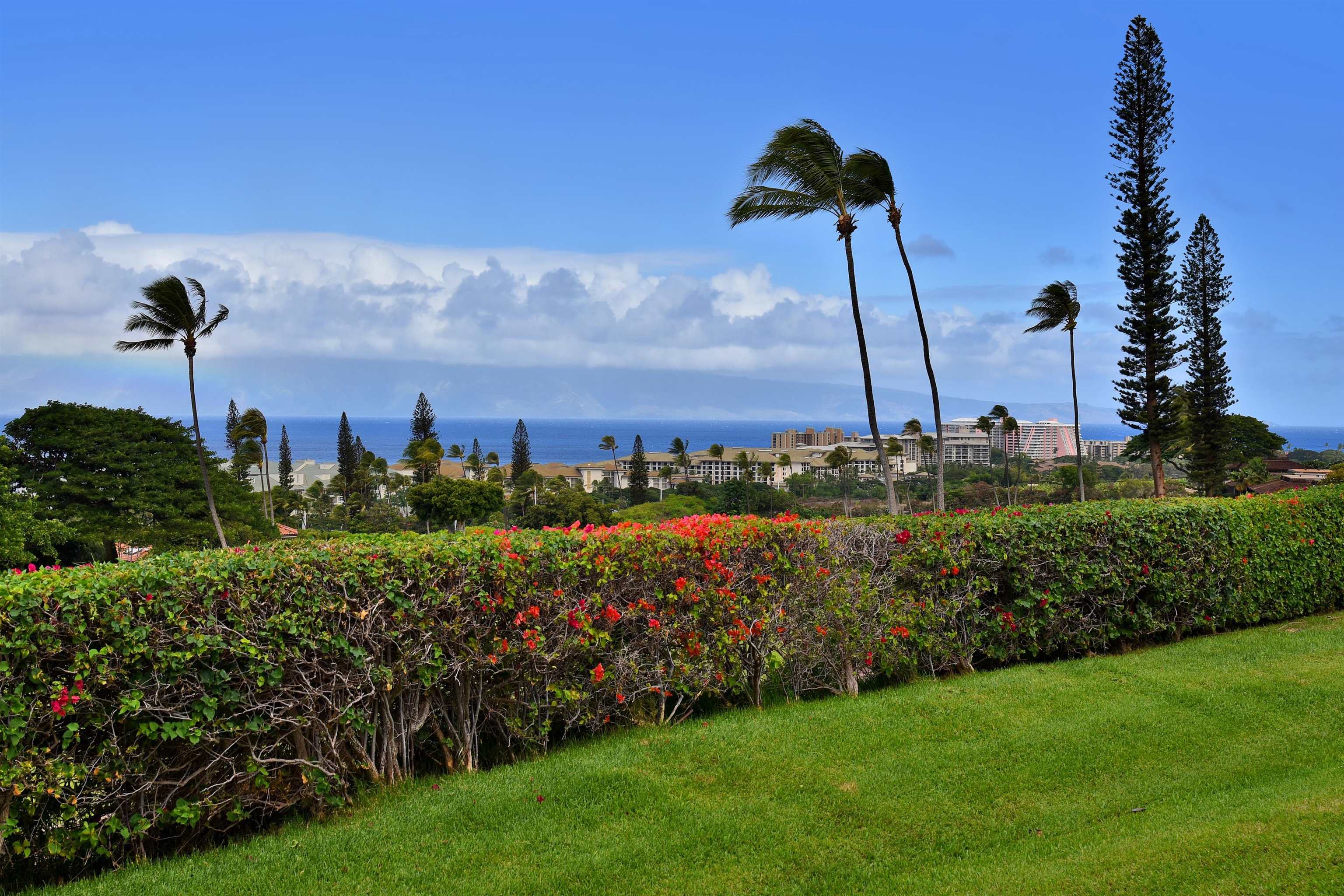 Masters condo # 1105, Lahaina, Hawaii - photo 33 of 37