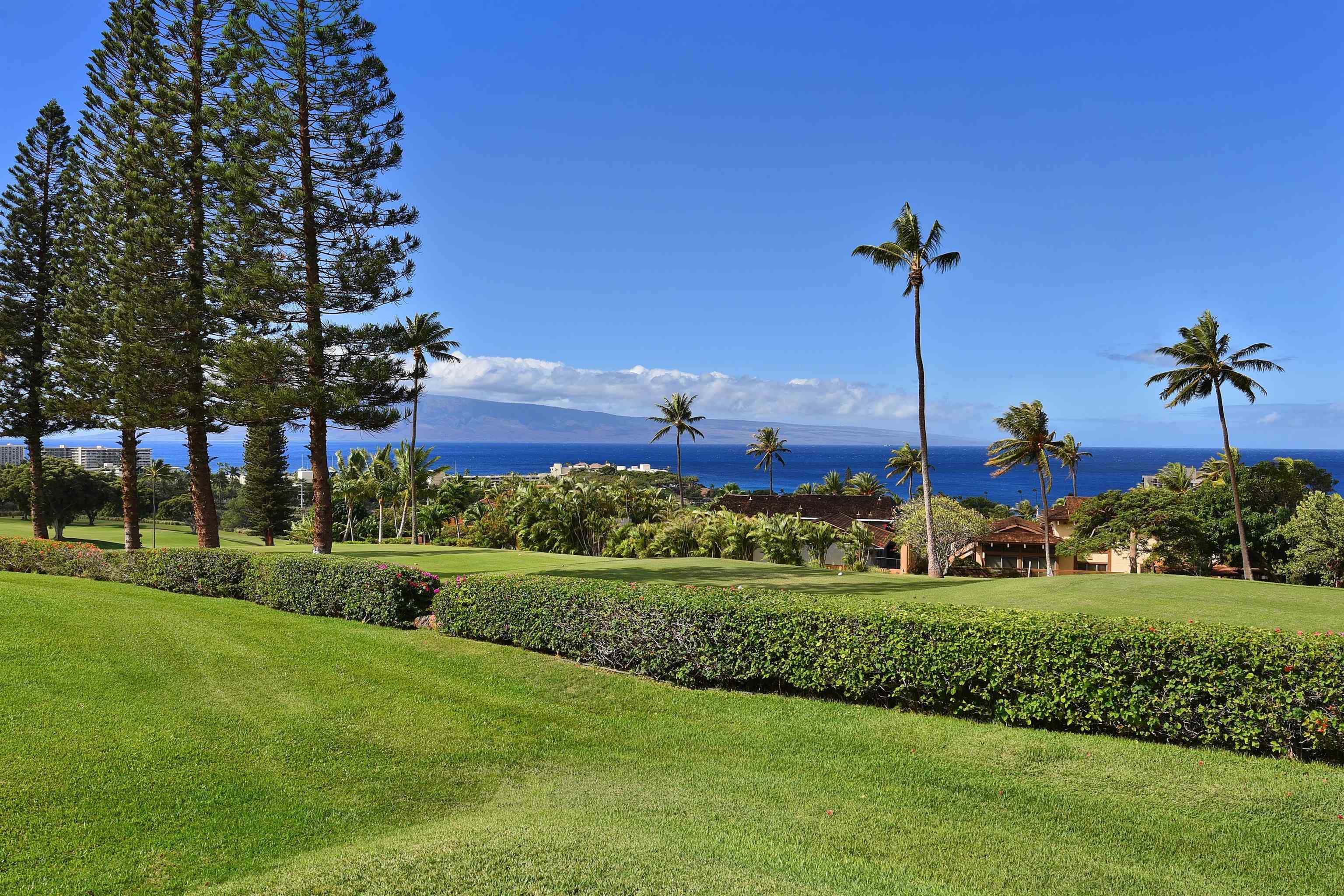 Masters condo # 1105, Lahaina, Hawaii - photo 36 of 37