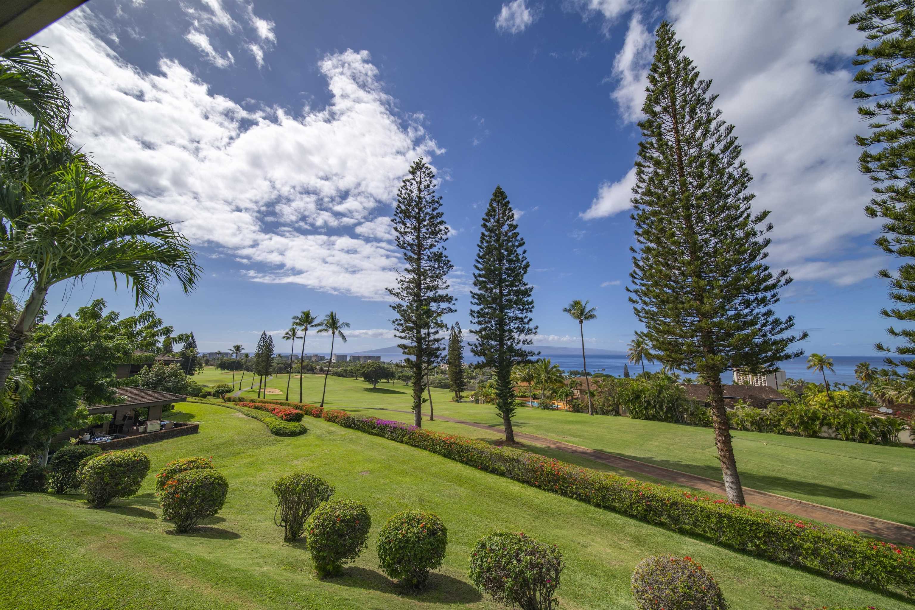 Masters condo # 1204, Lahaina, Hawaii - photo 36 of 50