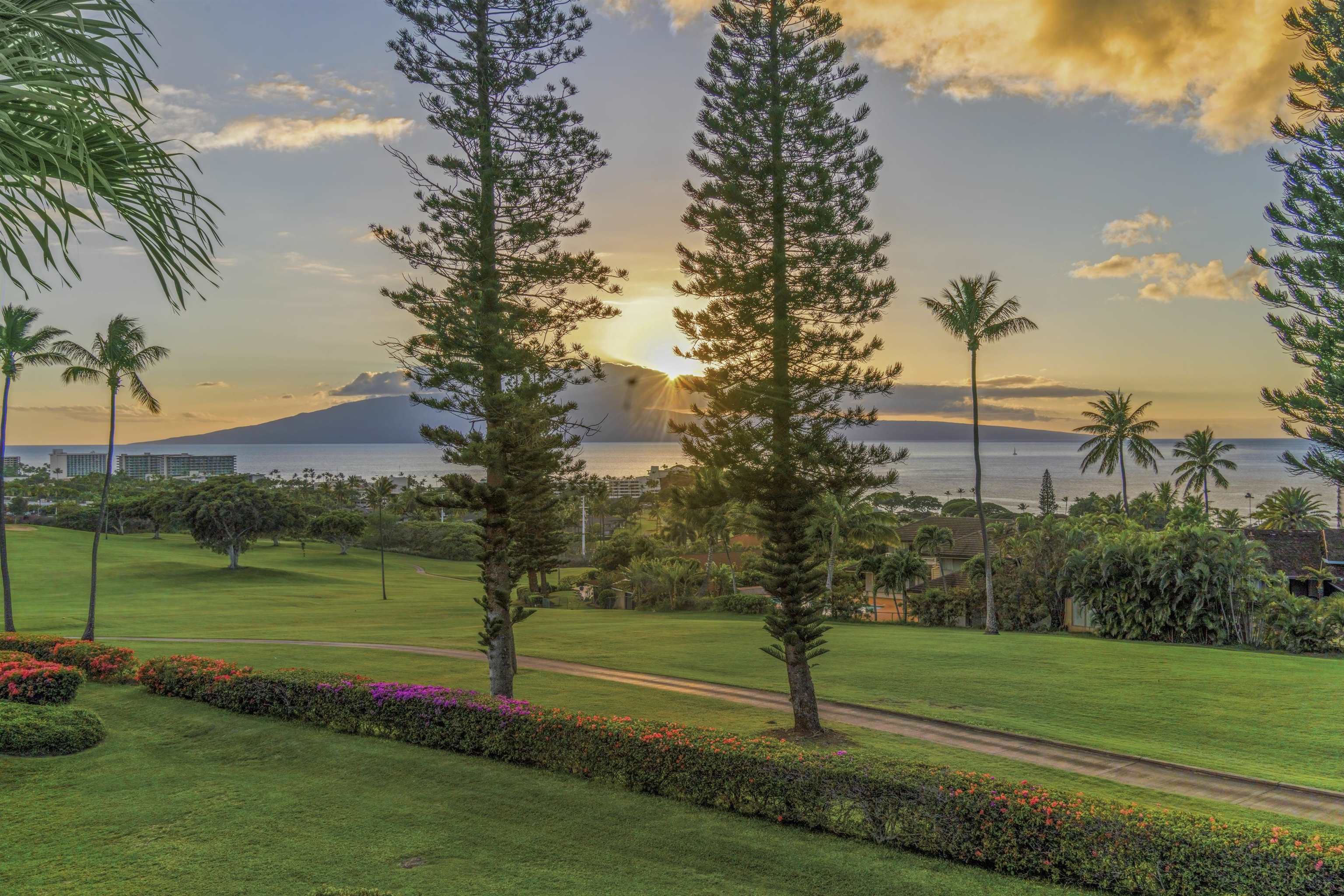 Masters condo # 1204, Lahaina, Hawaii - photo 44 of 50