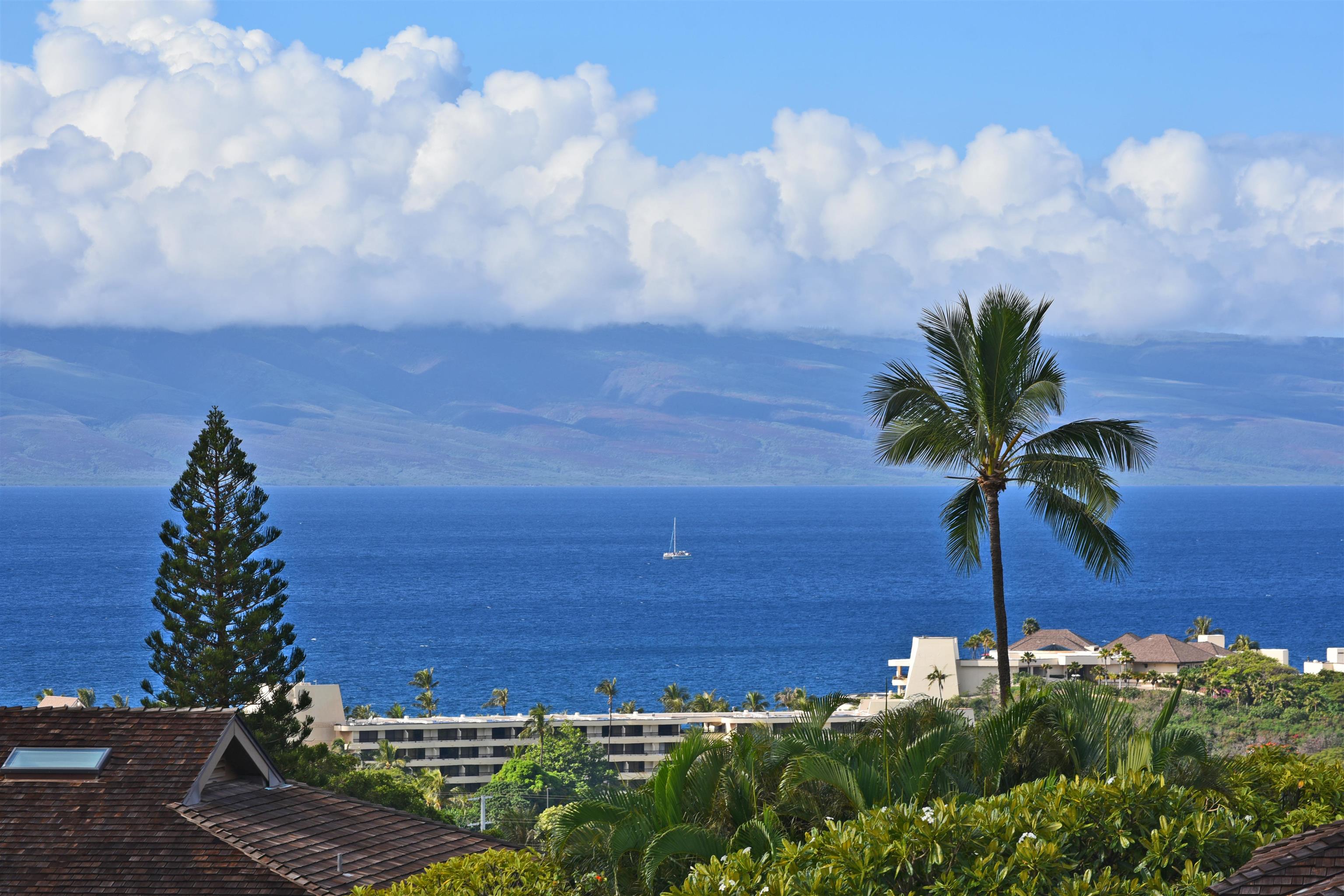 Masters condo # 1501, Lahaina, Hawaii - photo 26 of 41