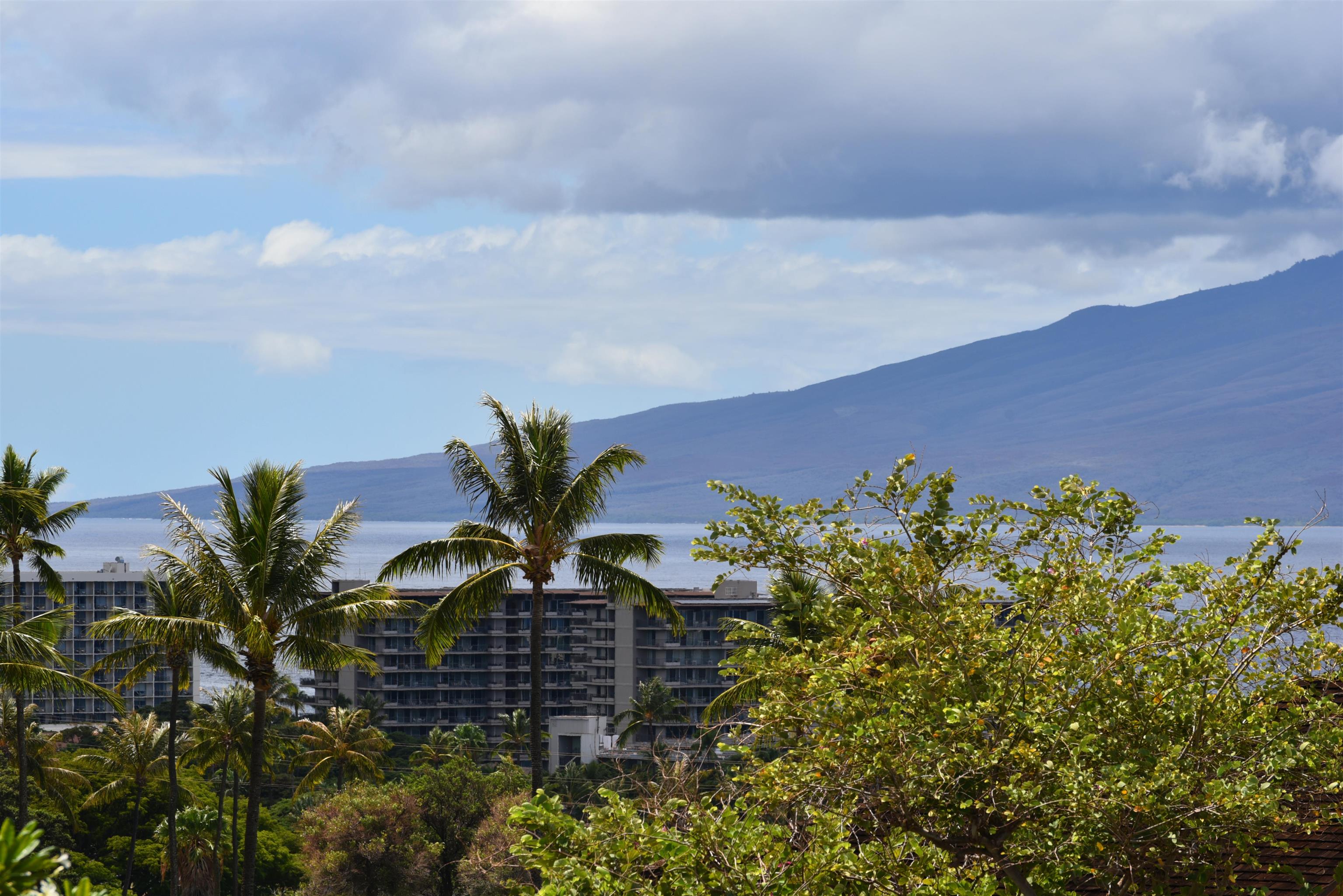 Masters condo # 1501, Lahaina, Hawaii - photo 33 of 41