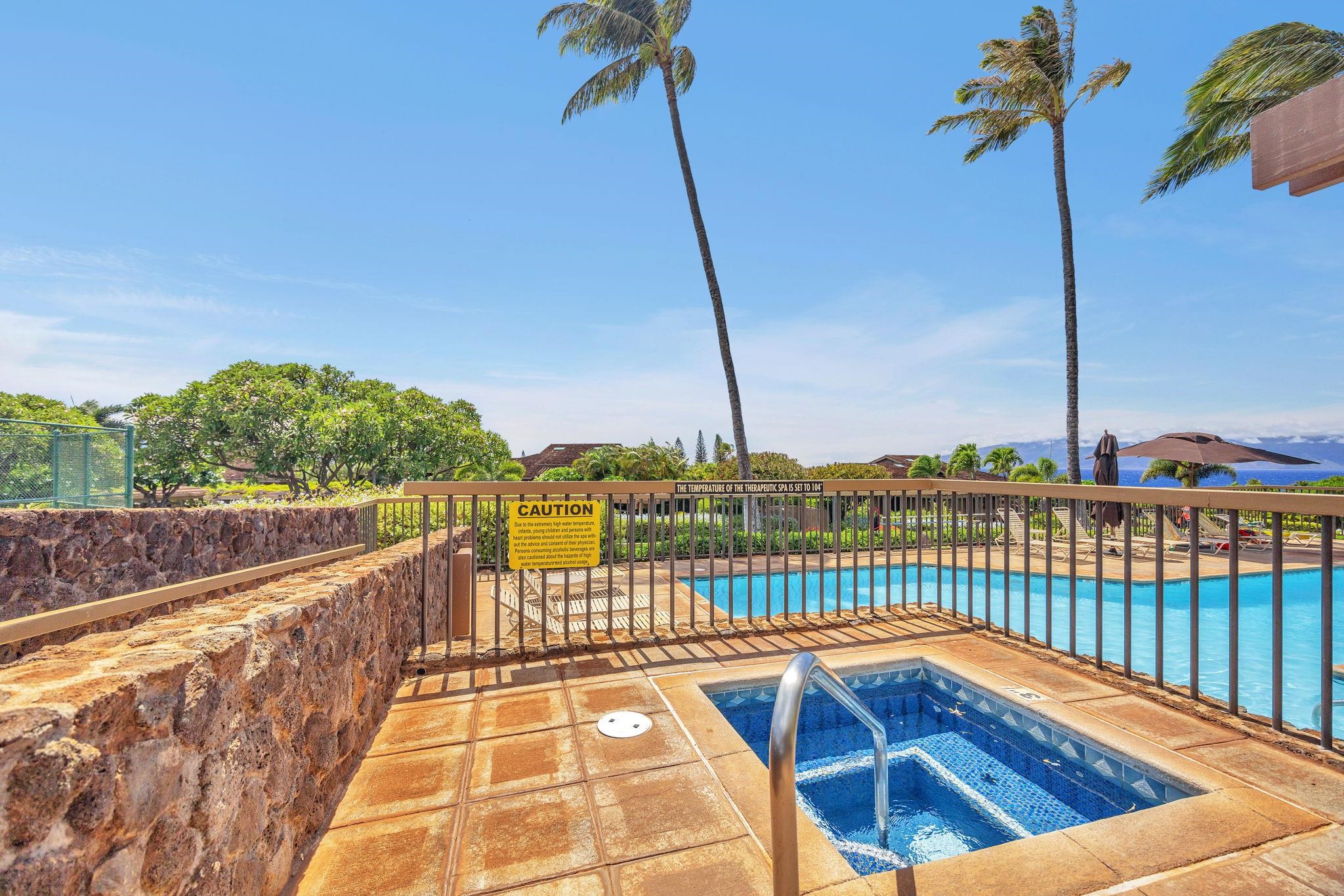 Masters condo # 1602, Lahaina, Hawaii - photo 46 of 50