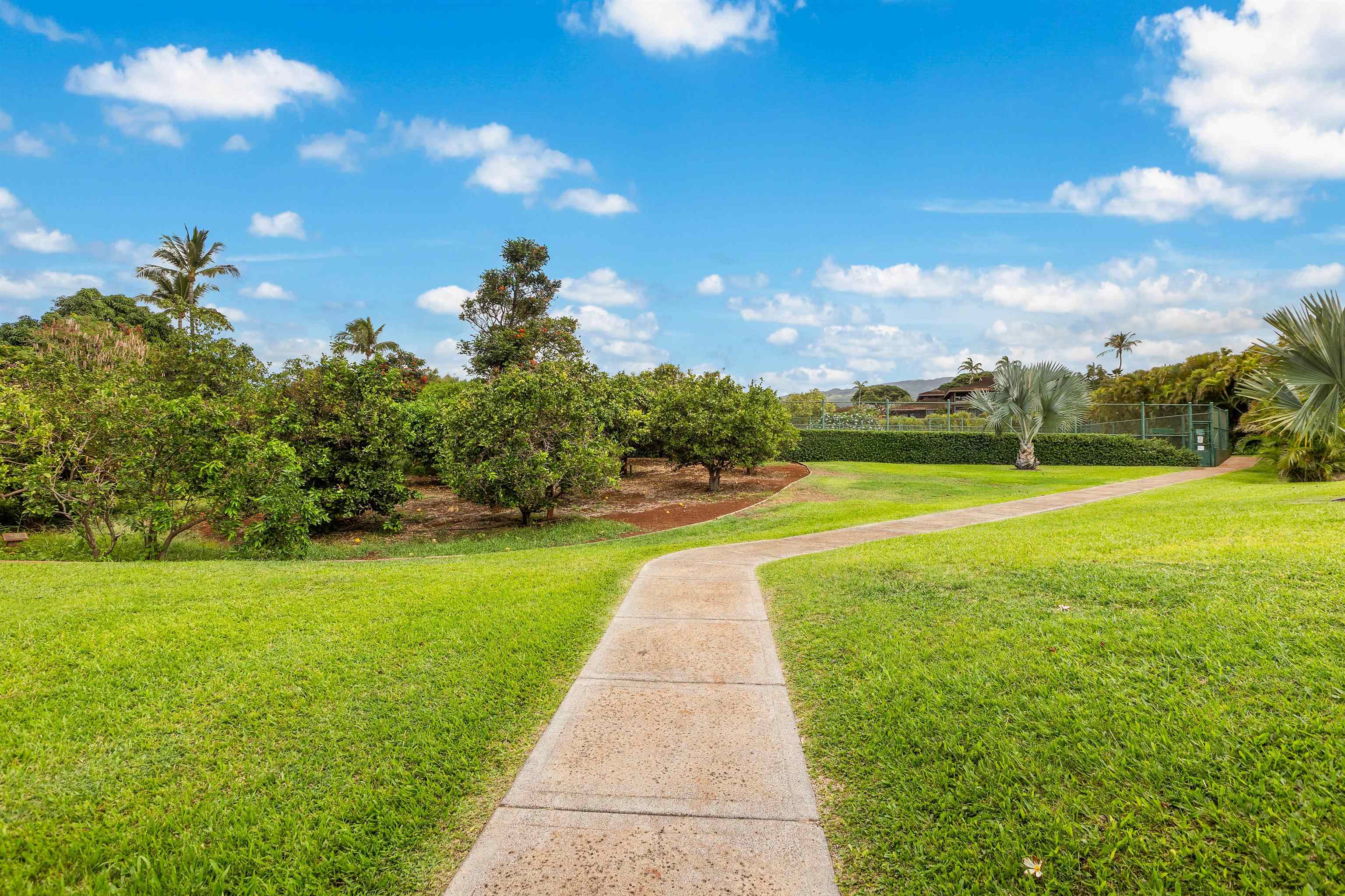 Masters condo # 1704, Lahaina, Hawaii - photo 46 of 49