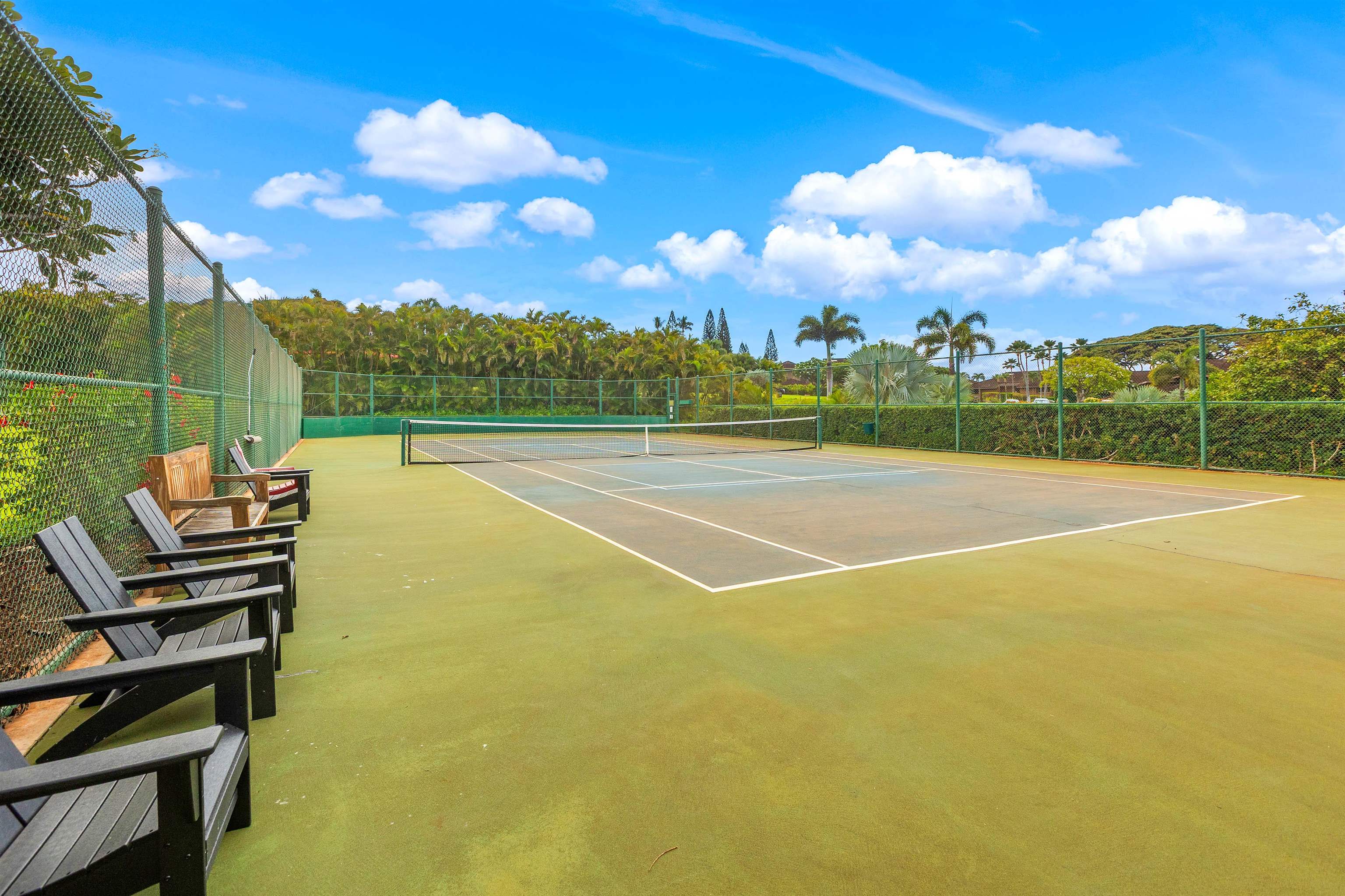 Masters condo # 1704, Lahaina, Hawaii - photo 49 of 49