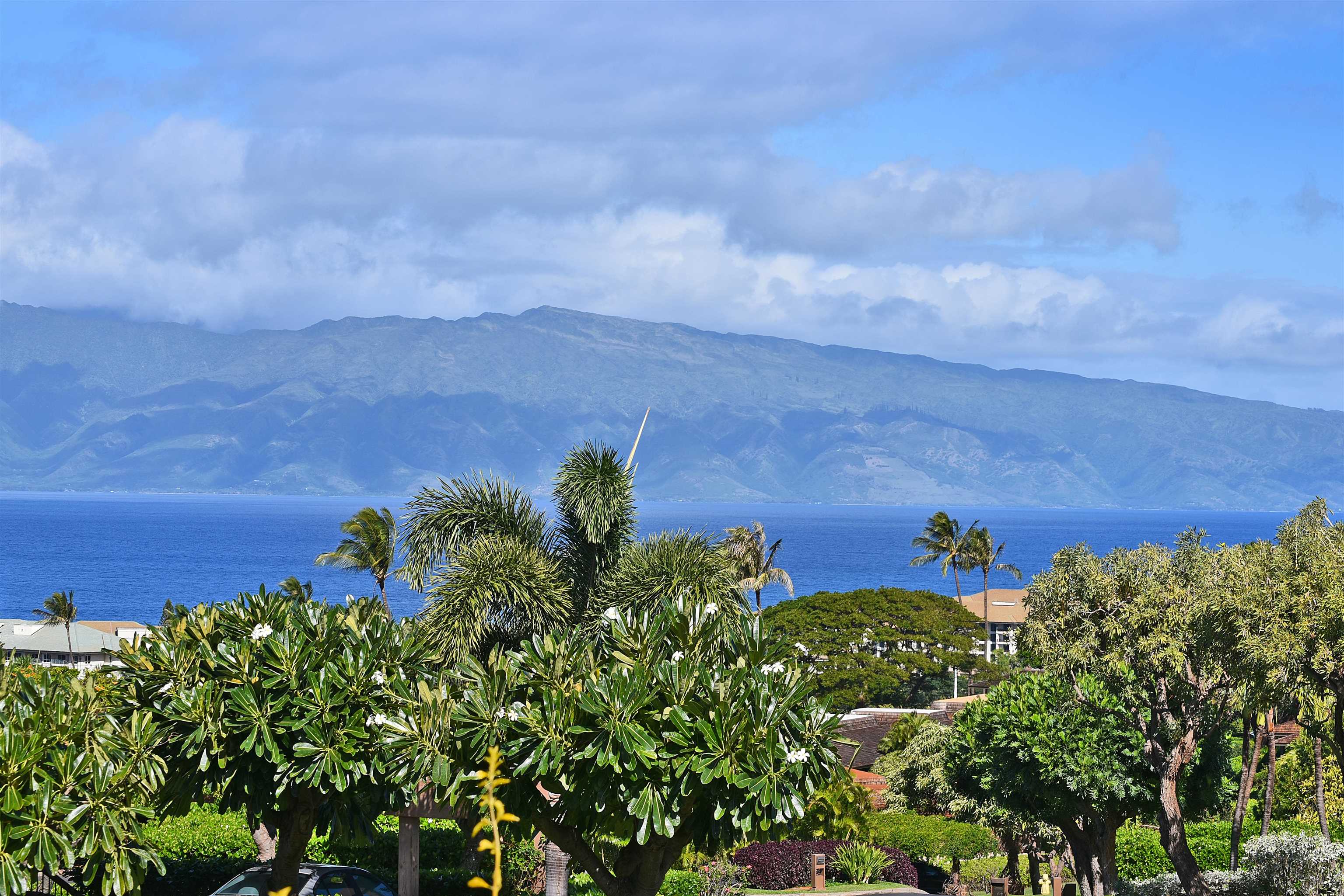 Masters condo # 1707, Lahaina, Hawaii - photo 32 of 40