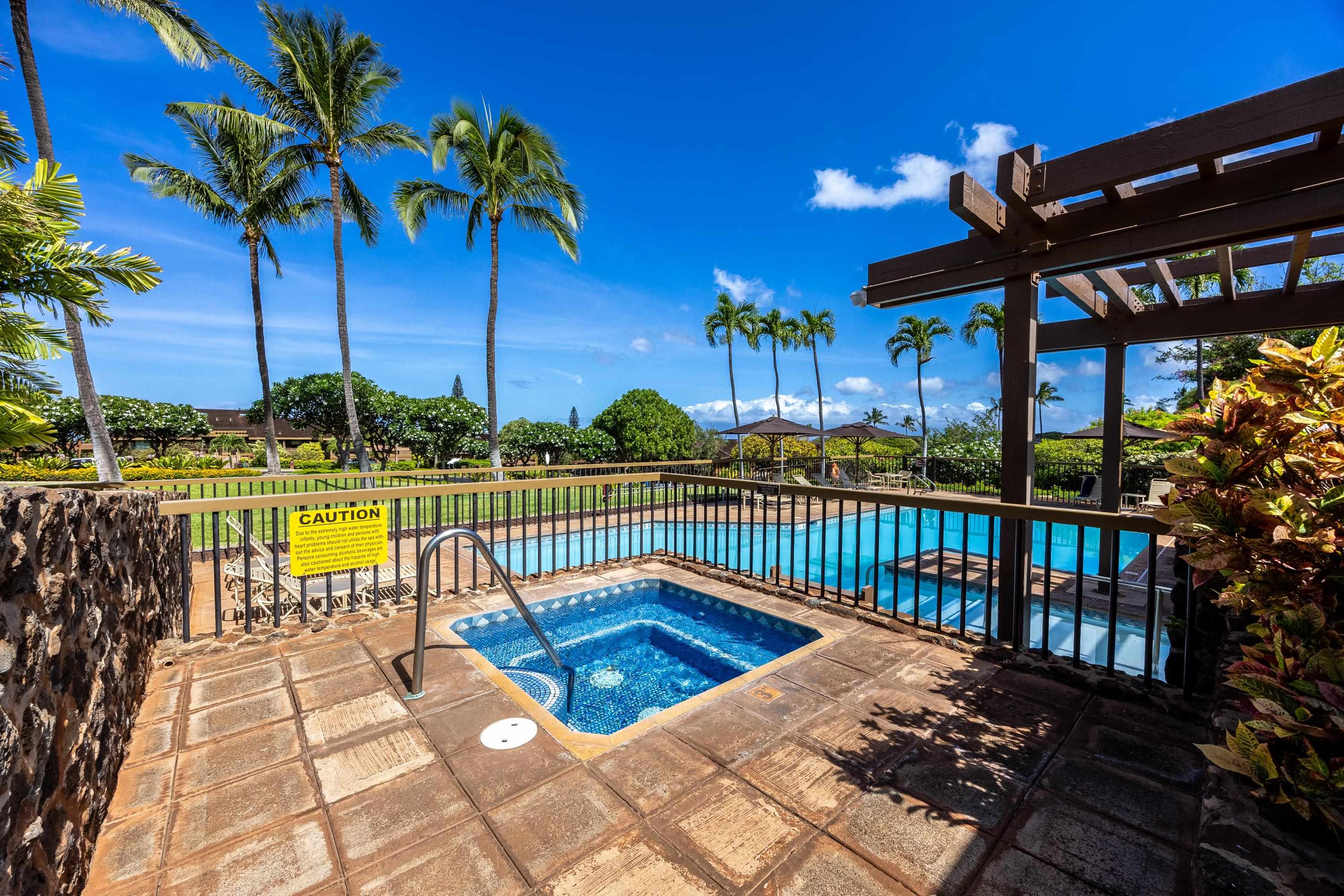 Masters condo # 1708, Lahaina, Hawaii - photo 35 of 42