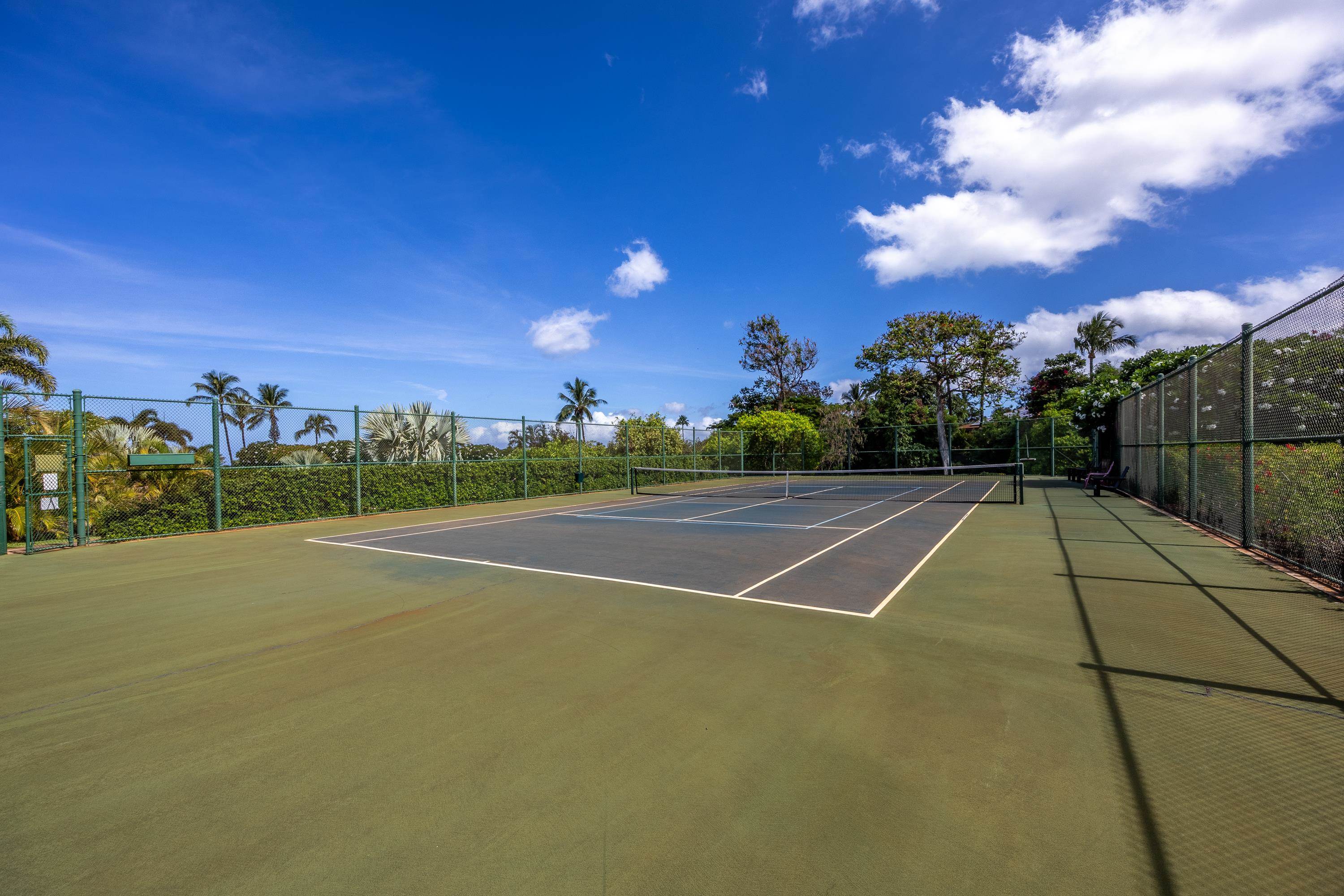 Masters condo # 1708, Lahaina, Hawaii - photo 39 of 42