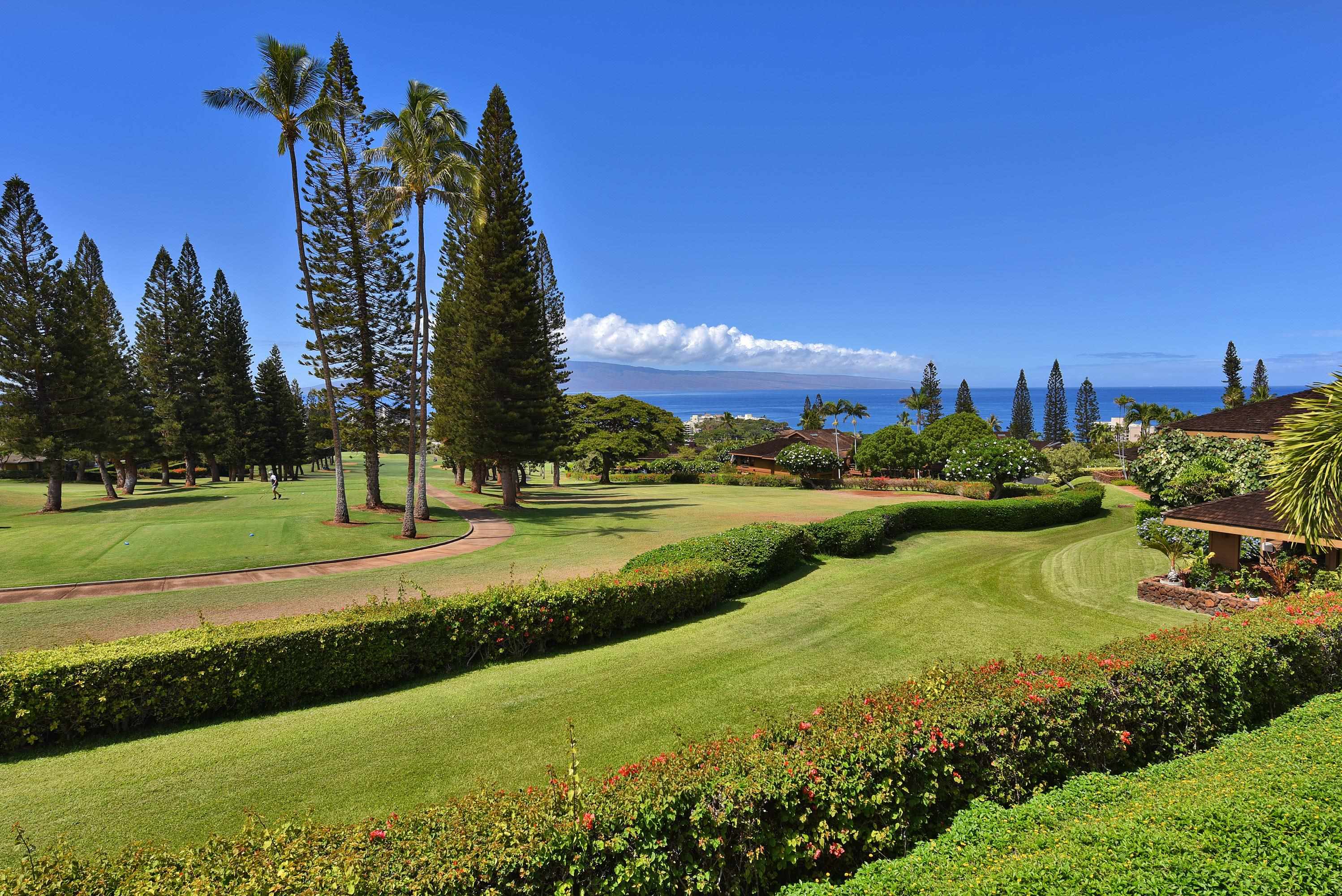 Masters condo # 1904, Lahaina, Hawaii - photo 2 of 49
