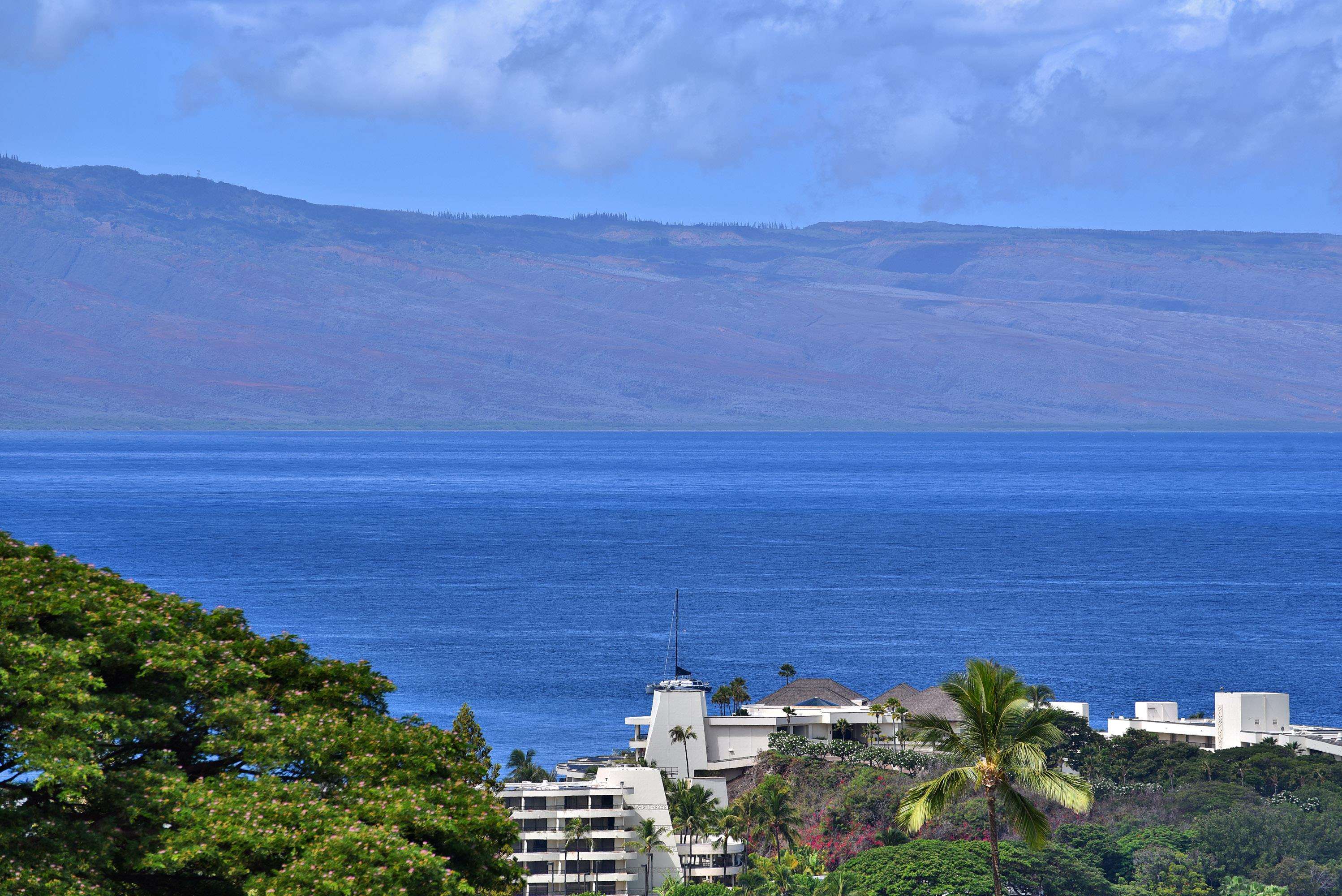 Masters condo # 1904, Lahaina, Hawaii - photo 5 of 49