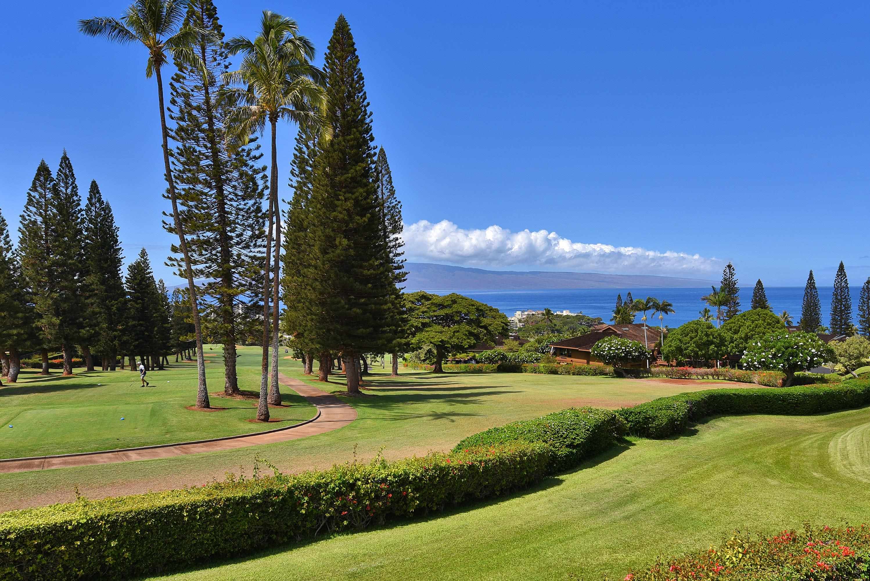 Masters condo # 1904, Lahaina, Hawaii - photo 7 of 49