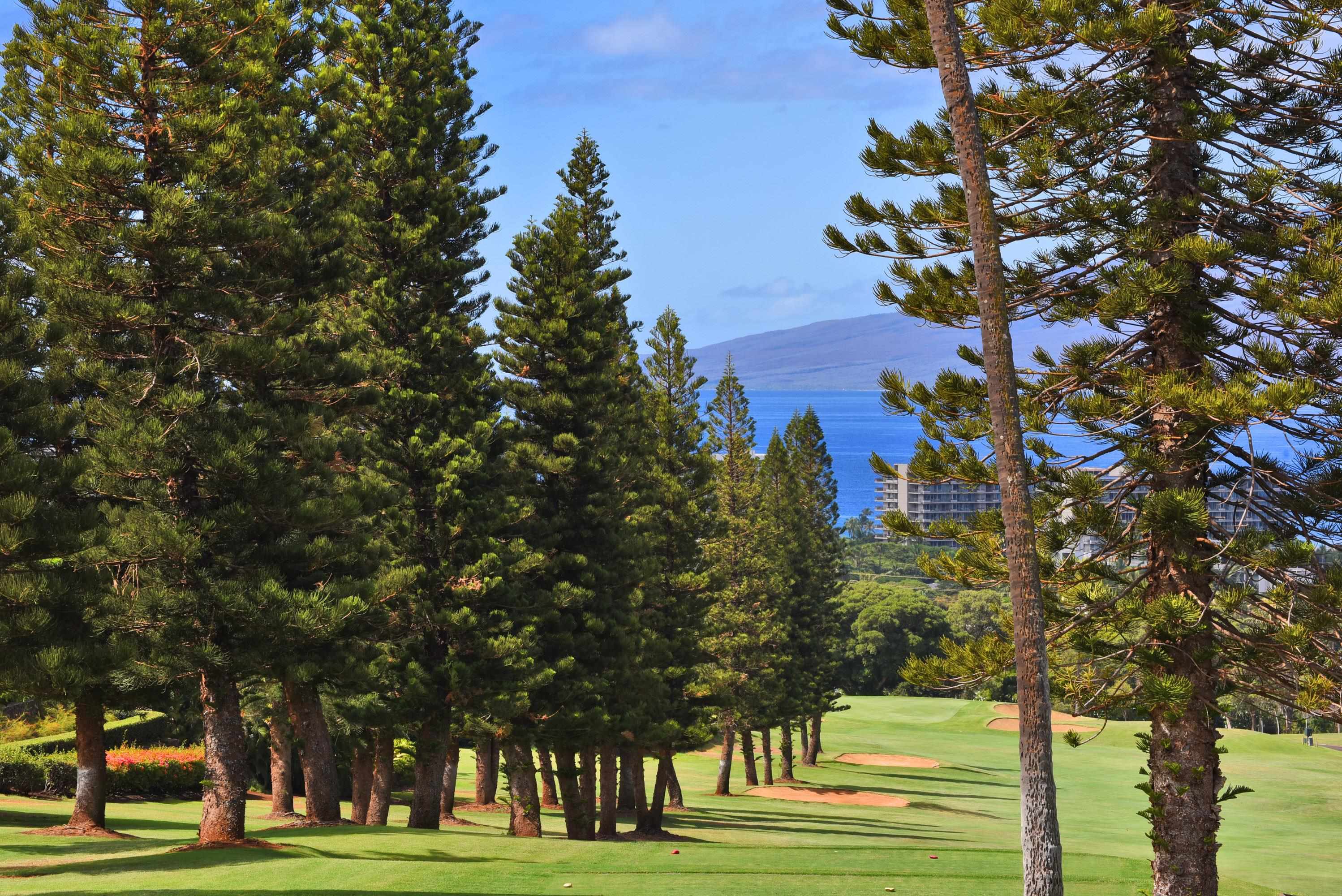 Masters condo # 1904, Lahaina, Hawaii - photo 10 of 49