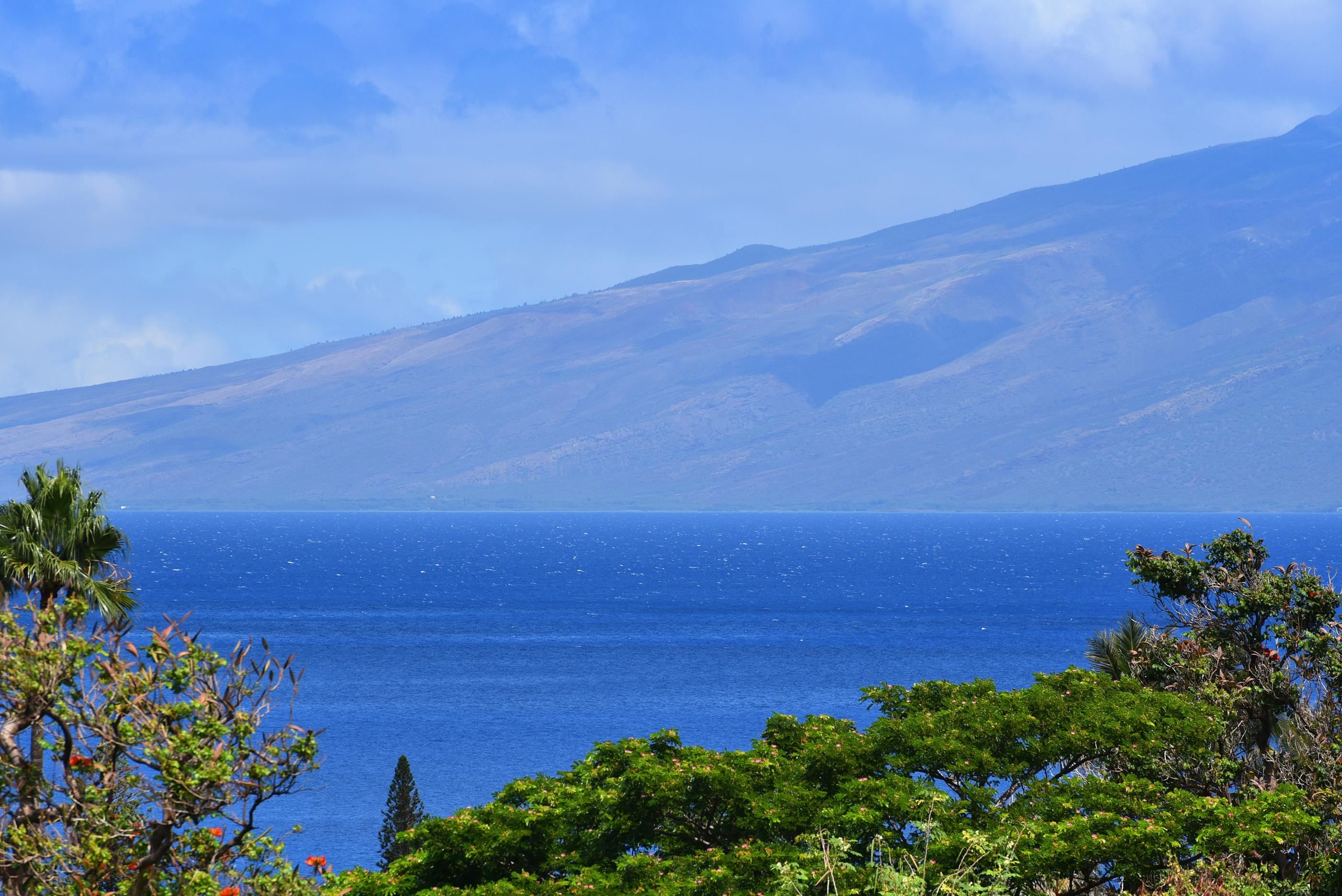 Masters condo # 201, Lahaina, Hawaii - photo 41 of 41