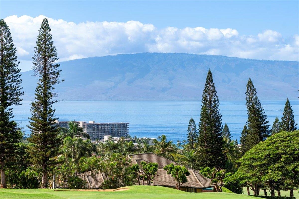 Masters condo # 2204, Lahaina, Hawaii - photo 30 of 48
