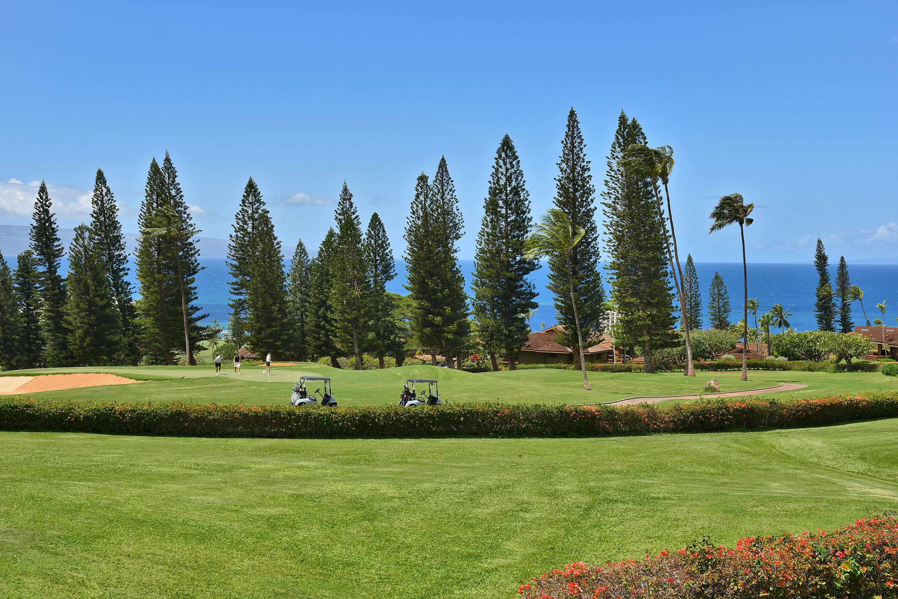 Masters condo # 2206, Lahaina, Hawaii - photo 5 of 50